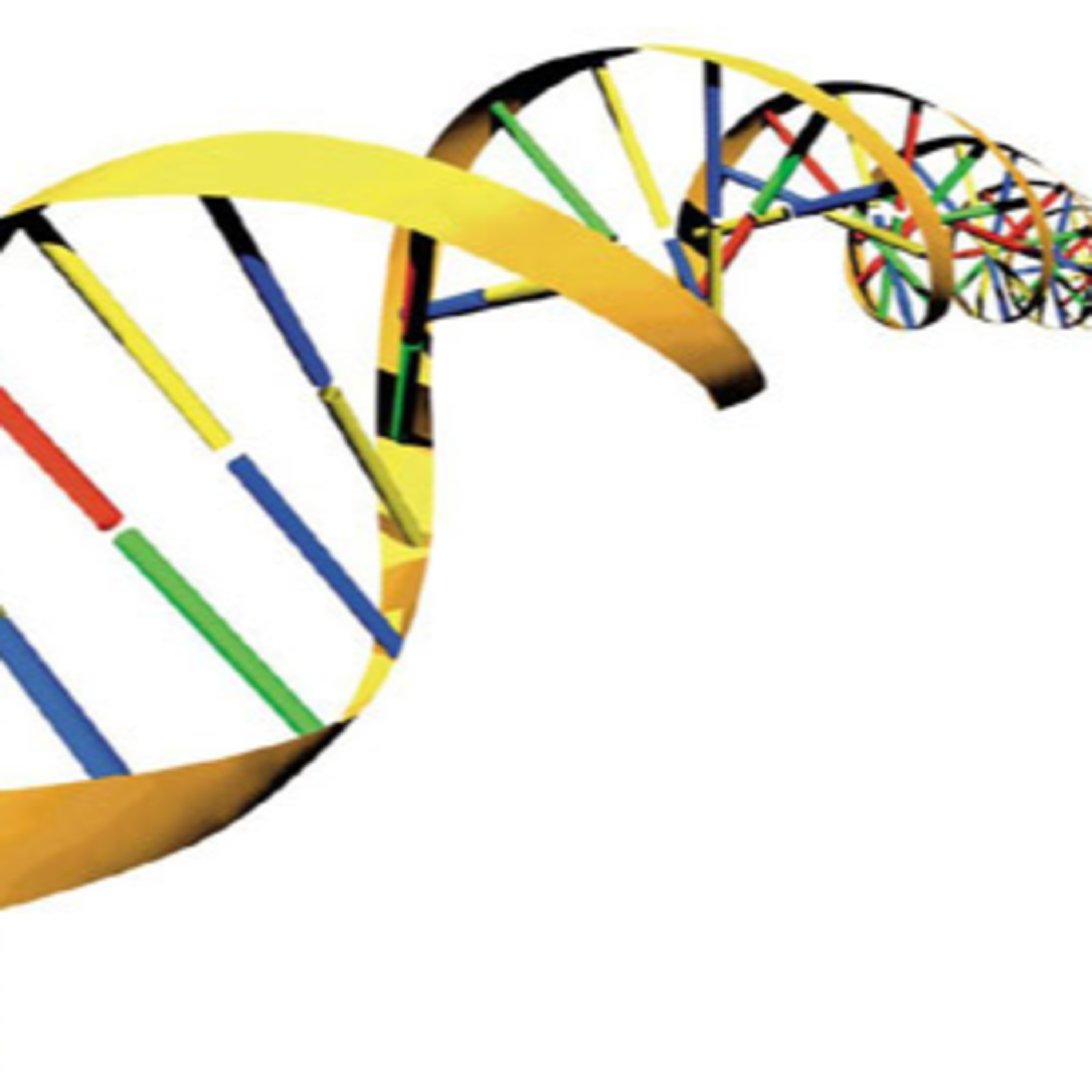 NUTRIGENETIC CORPORATION