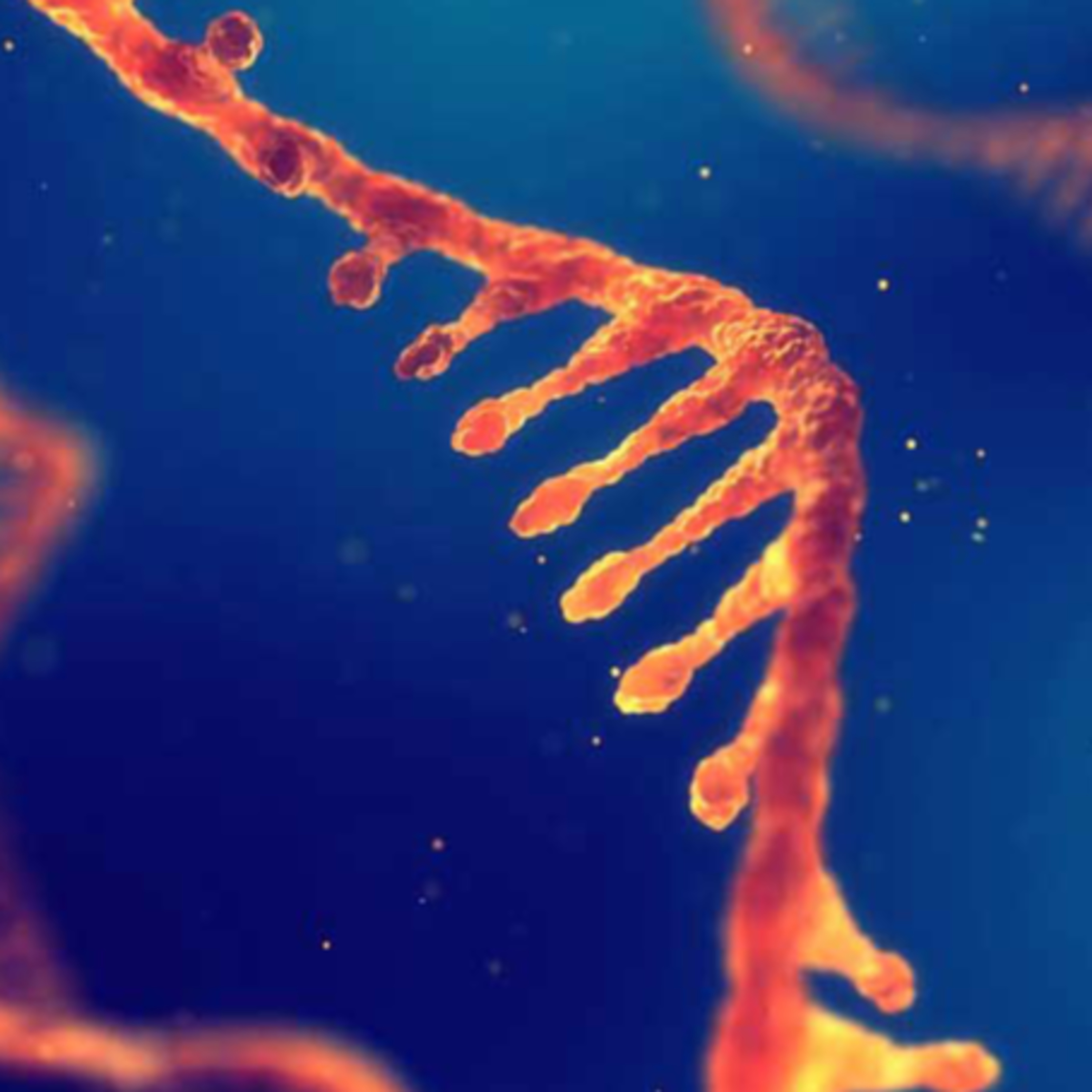 NUTRIGENETIC CORPORATION