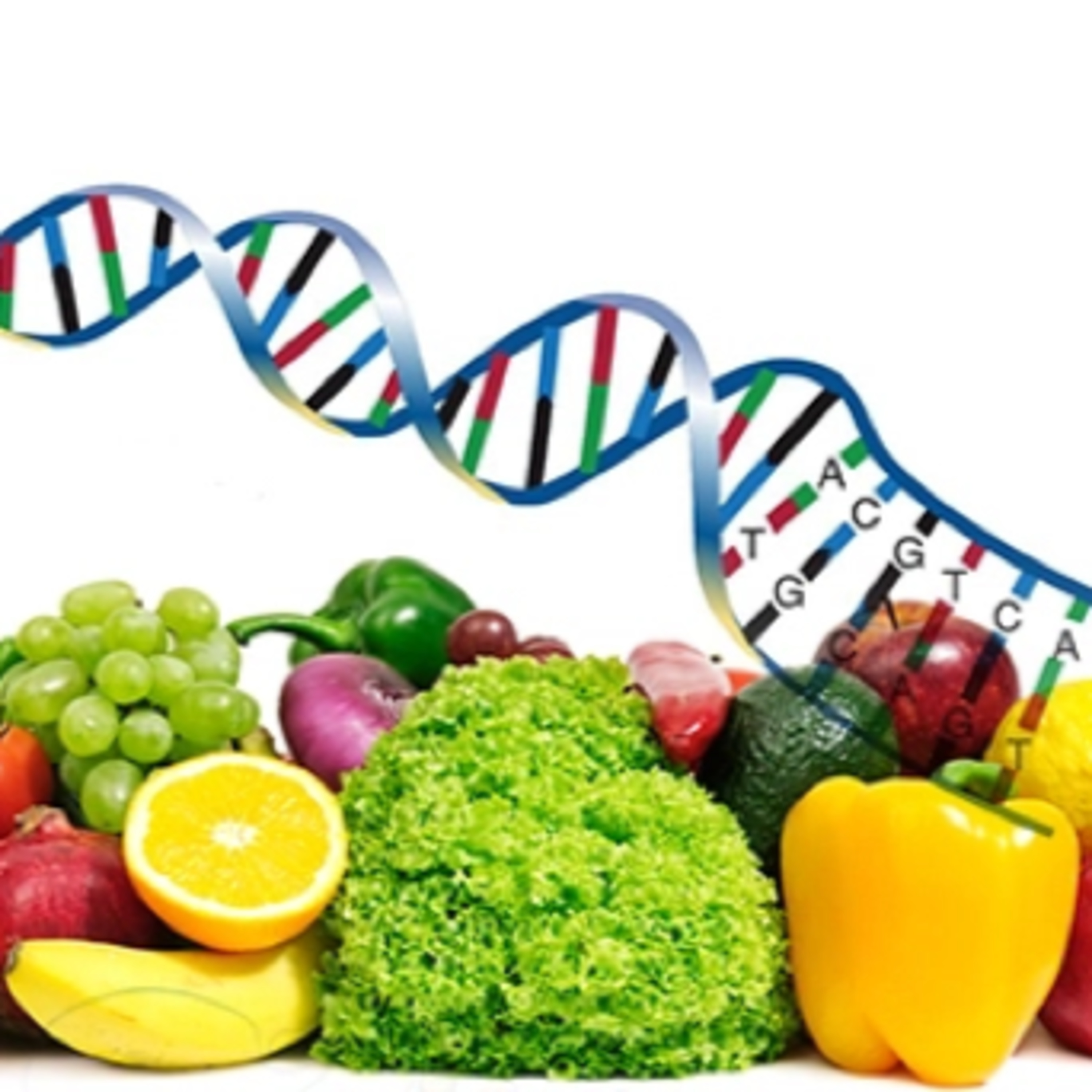 NUTRIGENETIC CORPORATION