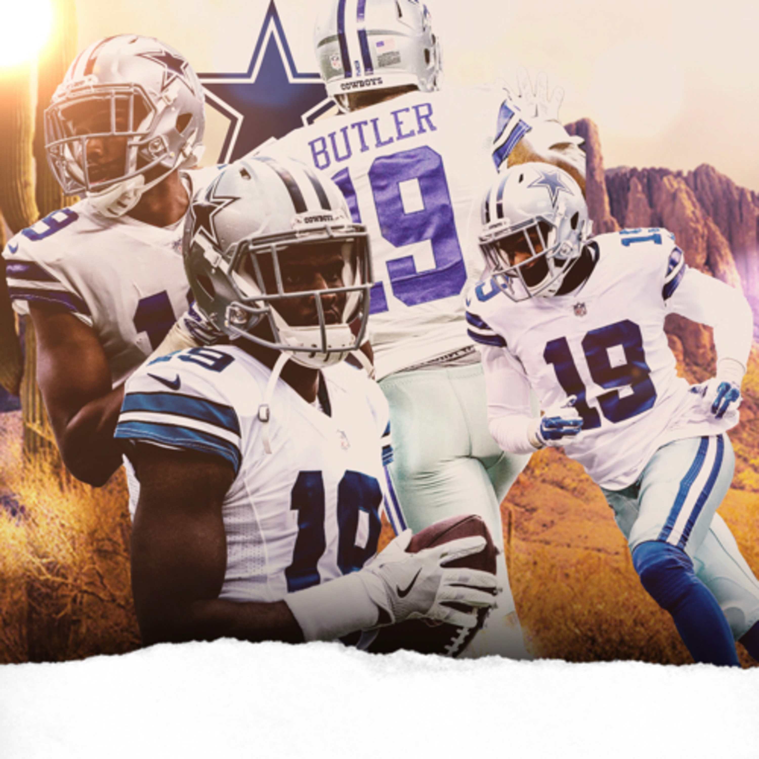 NFL Wide Receiver Brice Butler