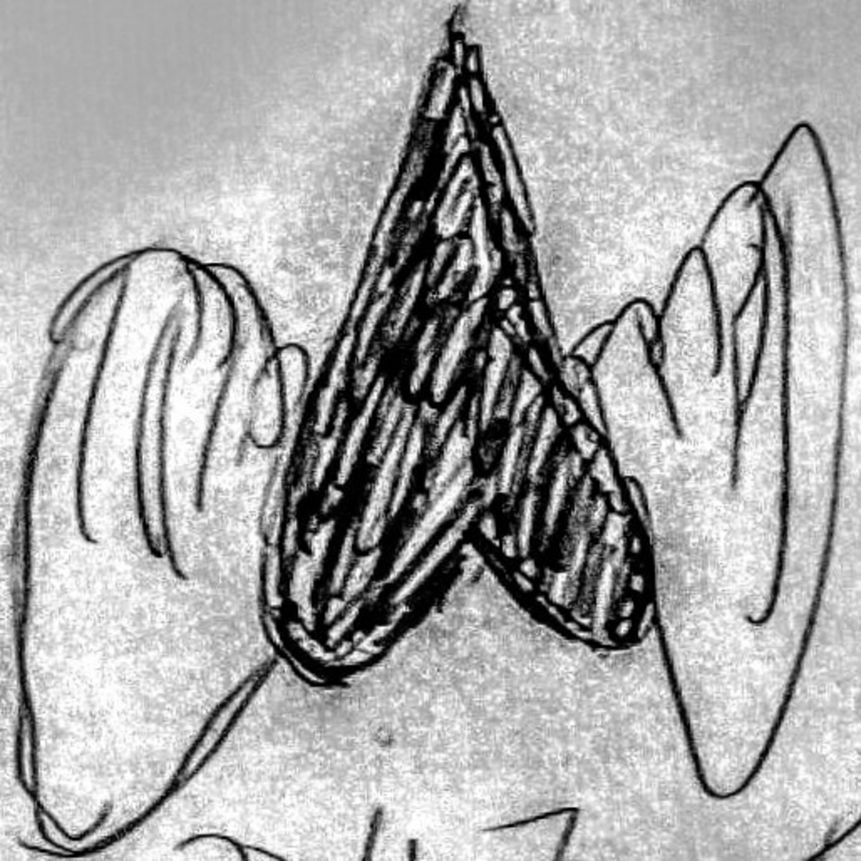 The Recluse Ruminations