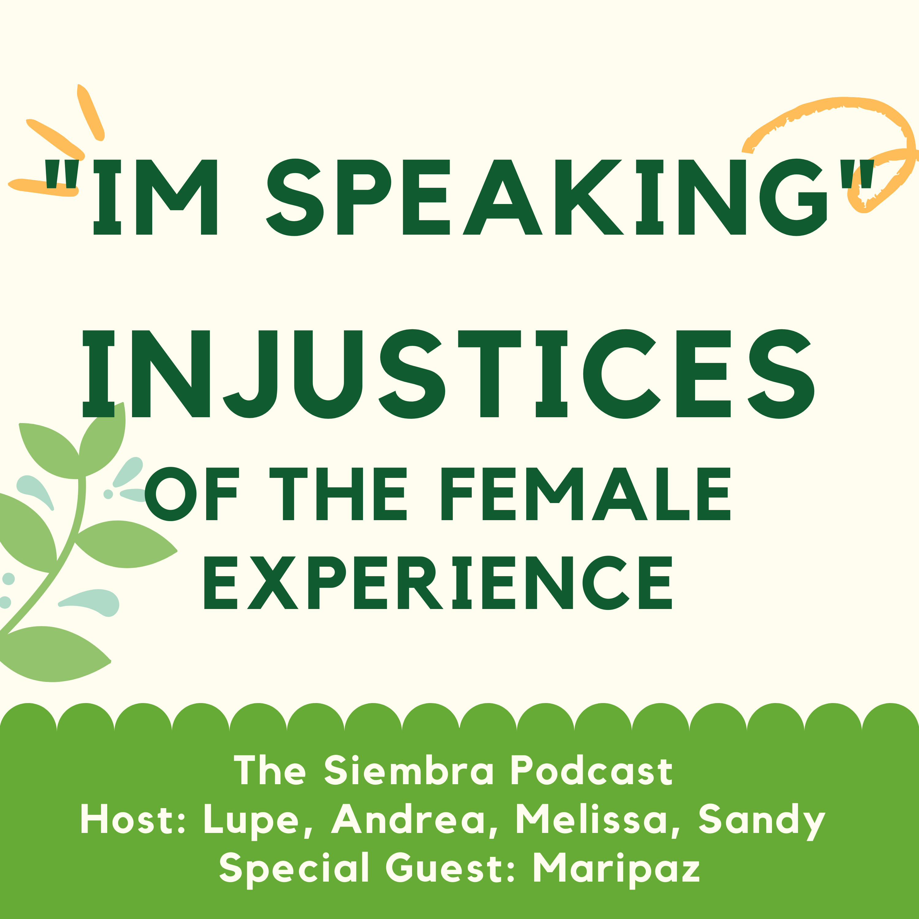 The US Podcast
