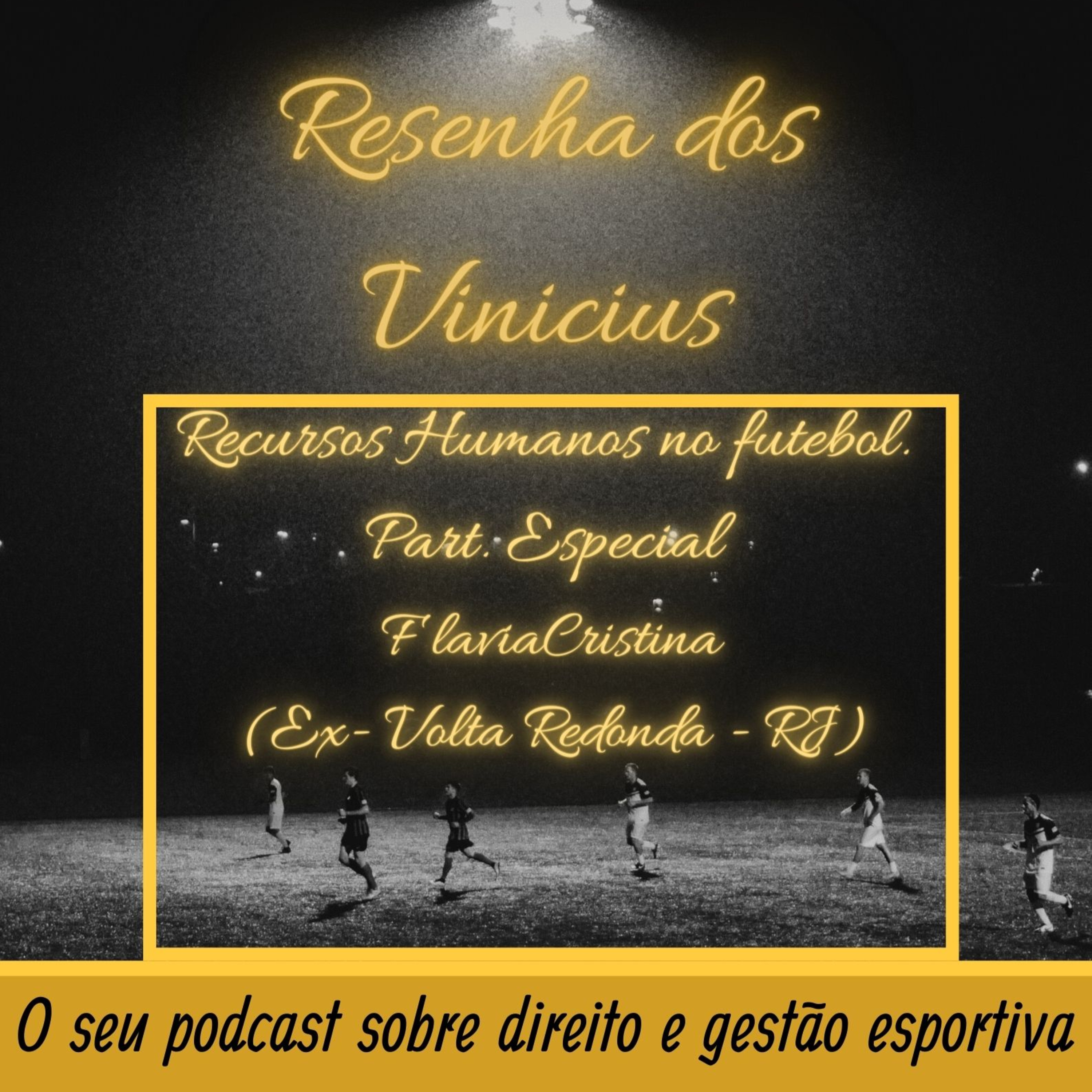 Resenha dos Vinicius