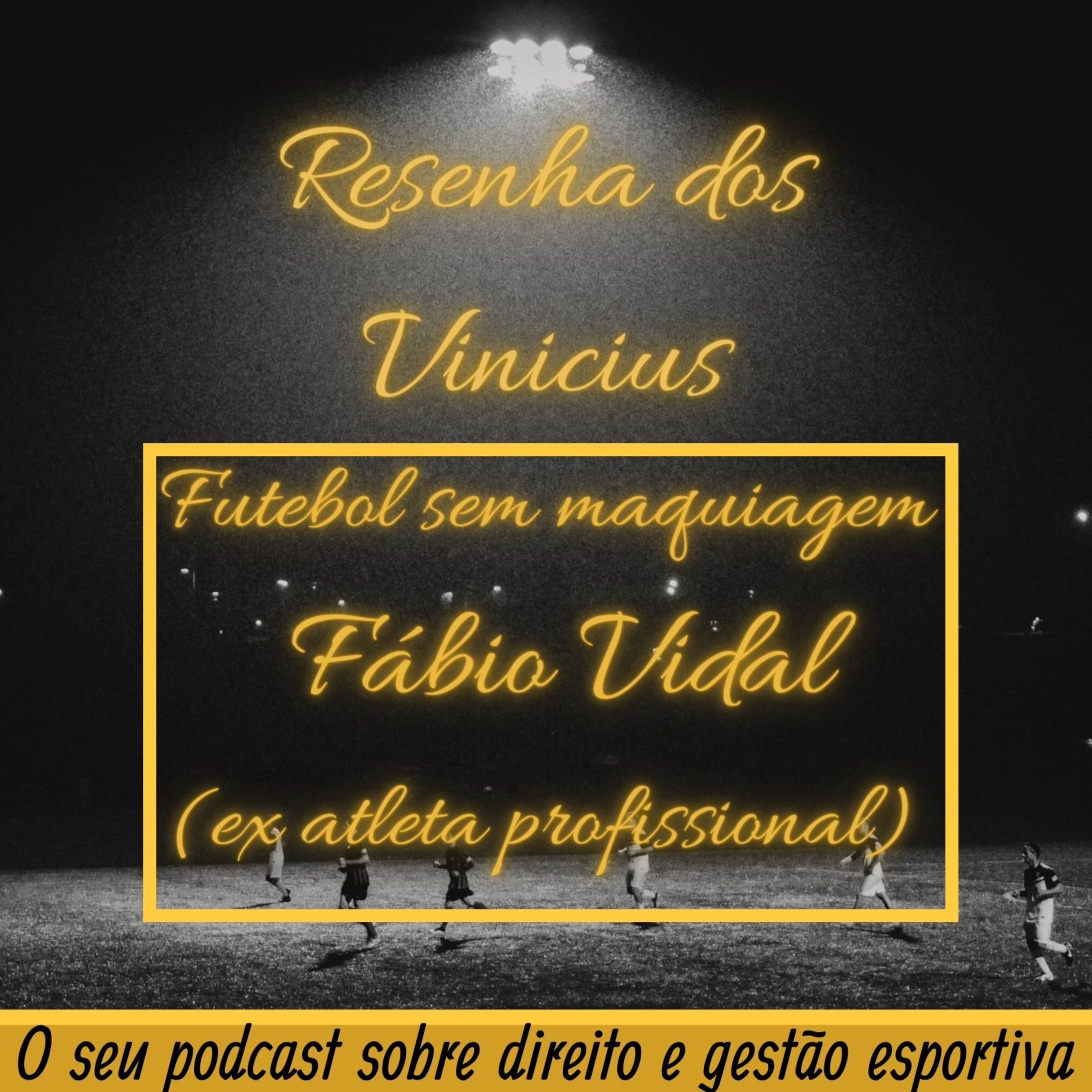 Resenha dos Vinicius
