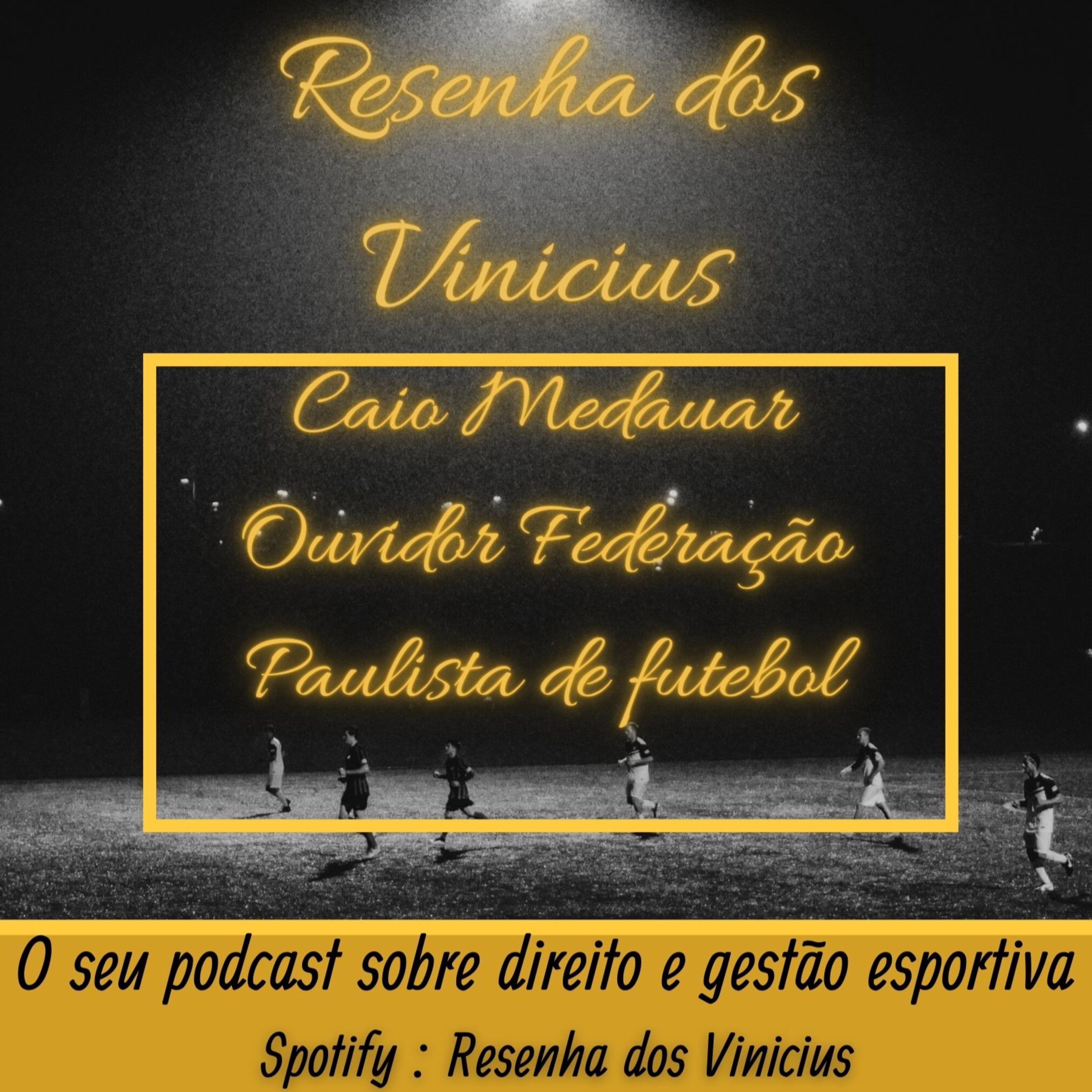 Resenha dos Vinicius