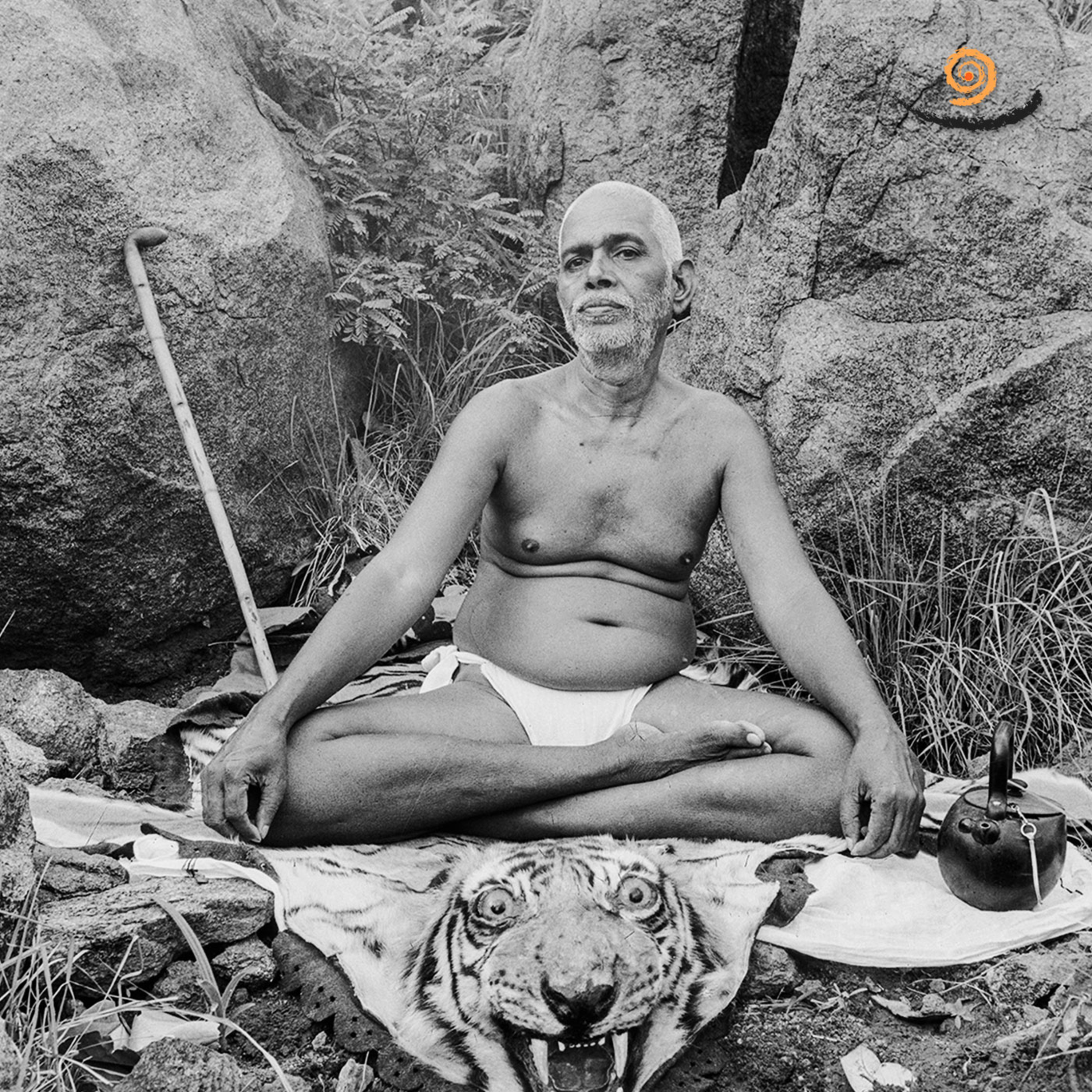 28. Marry to the Self - Non Duality Satsang episode artwork