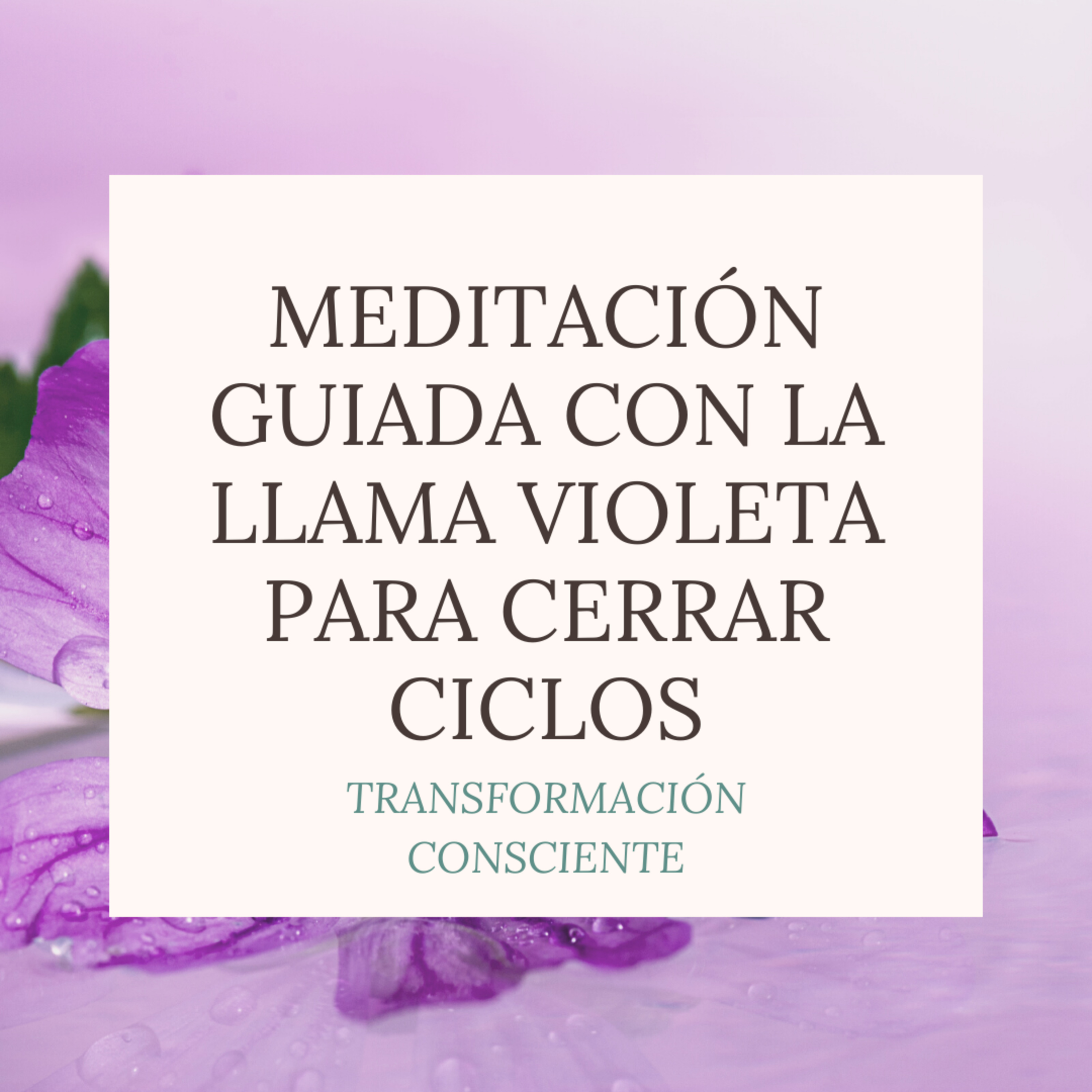 Transformación Consciente