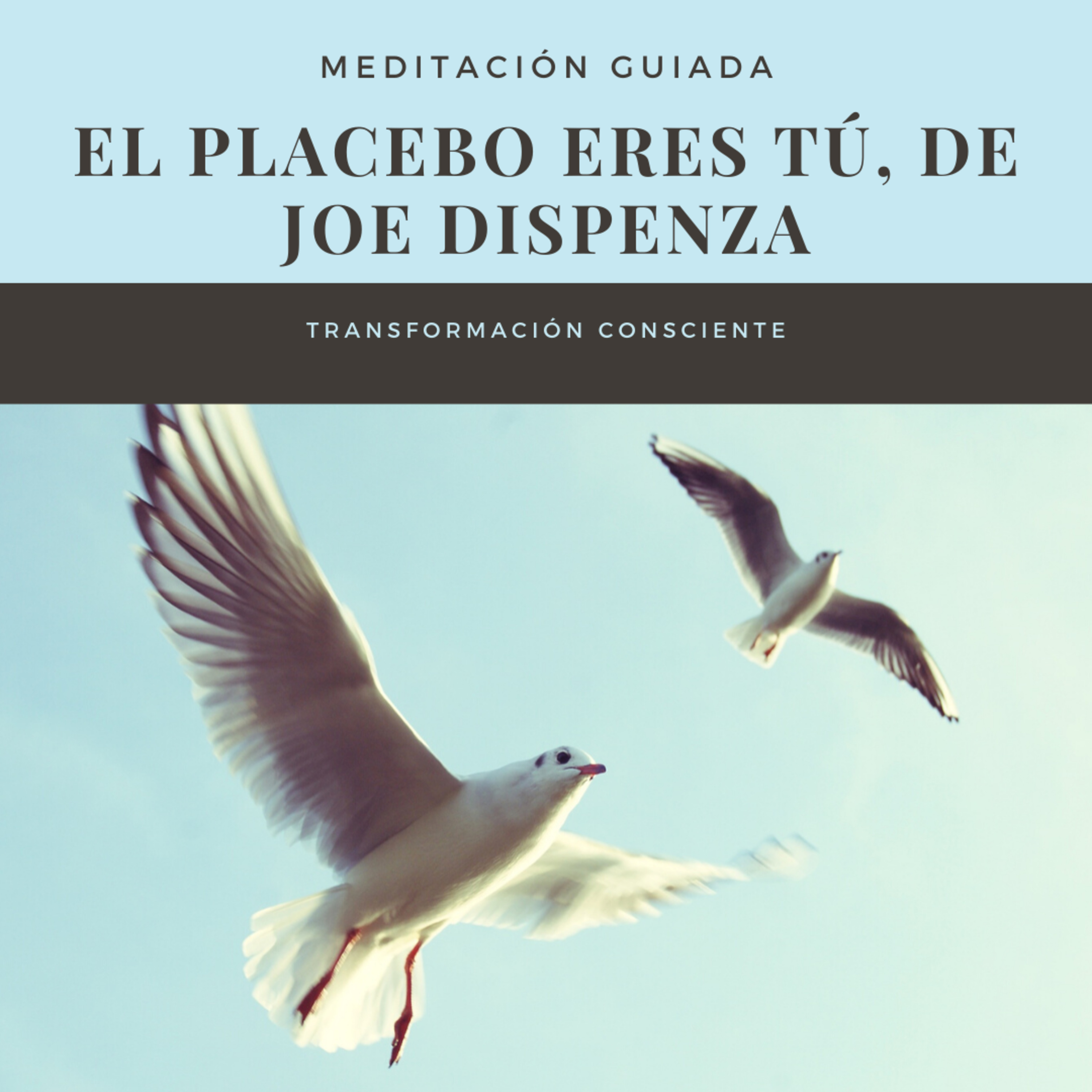 Meditación guiada, El placebo eres tú, de Joe Dispenza