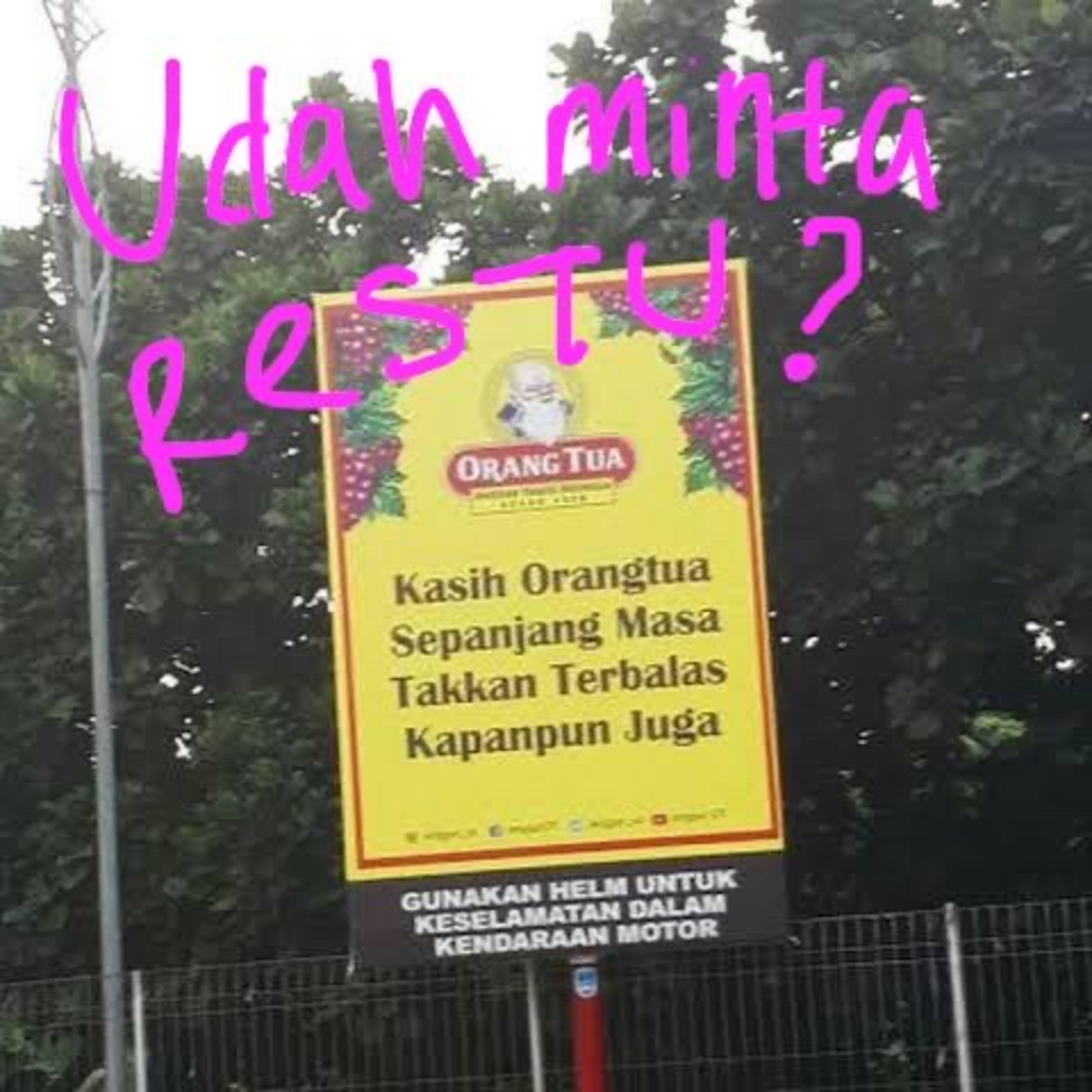 PAPabsurd