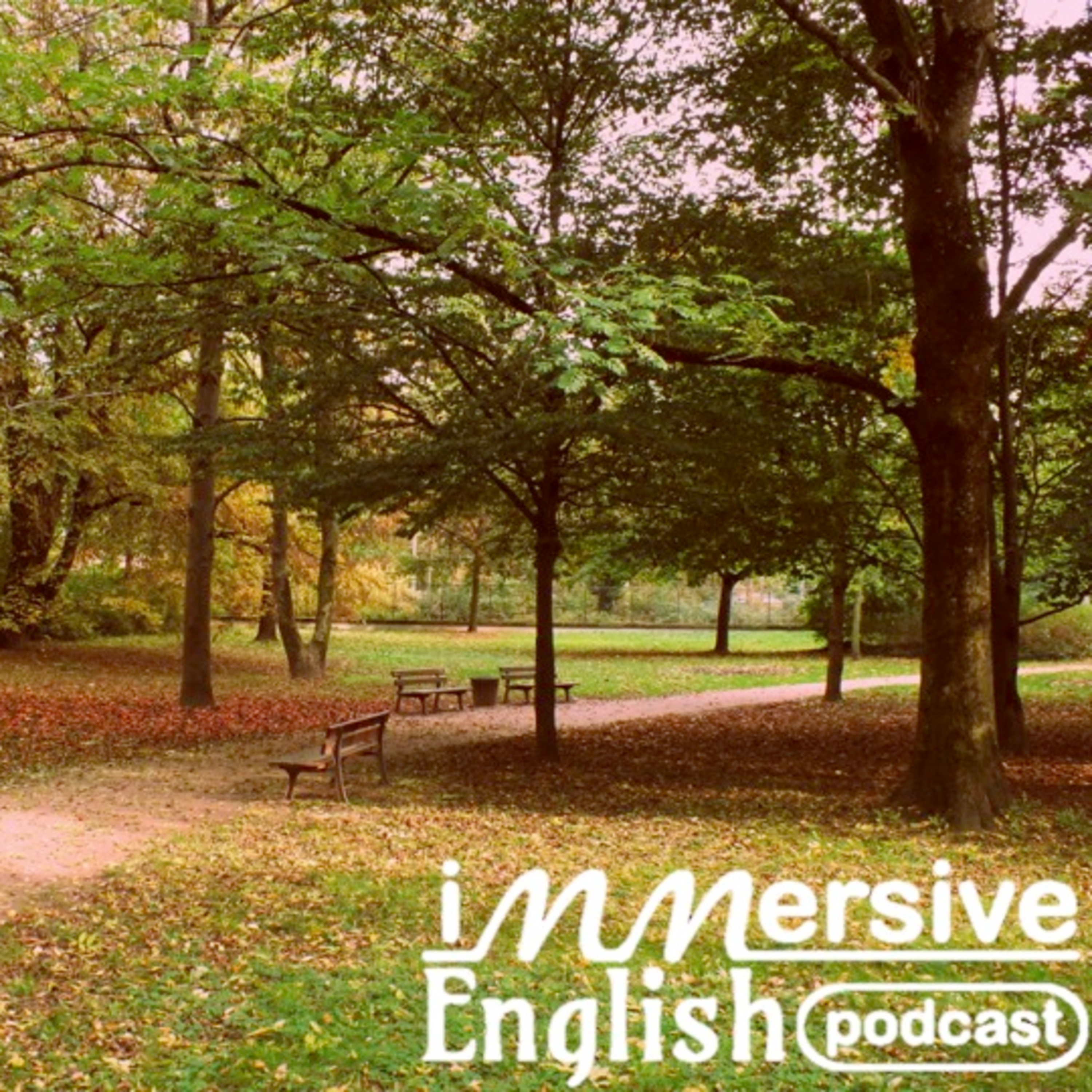 Immersive English