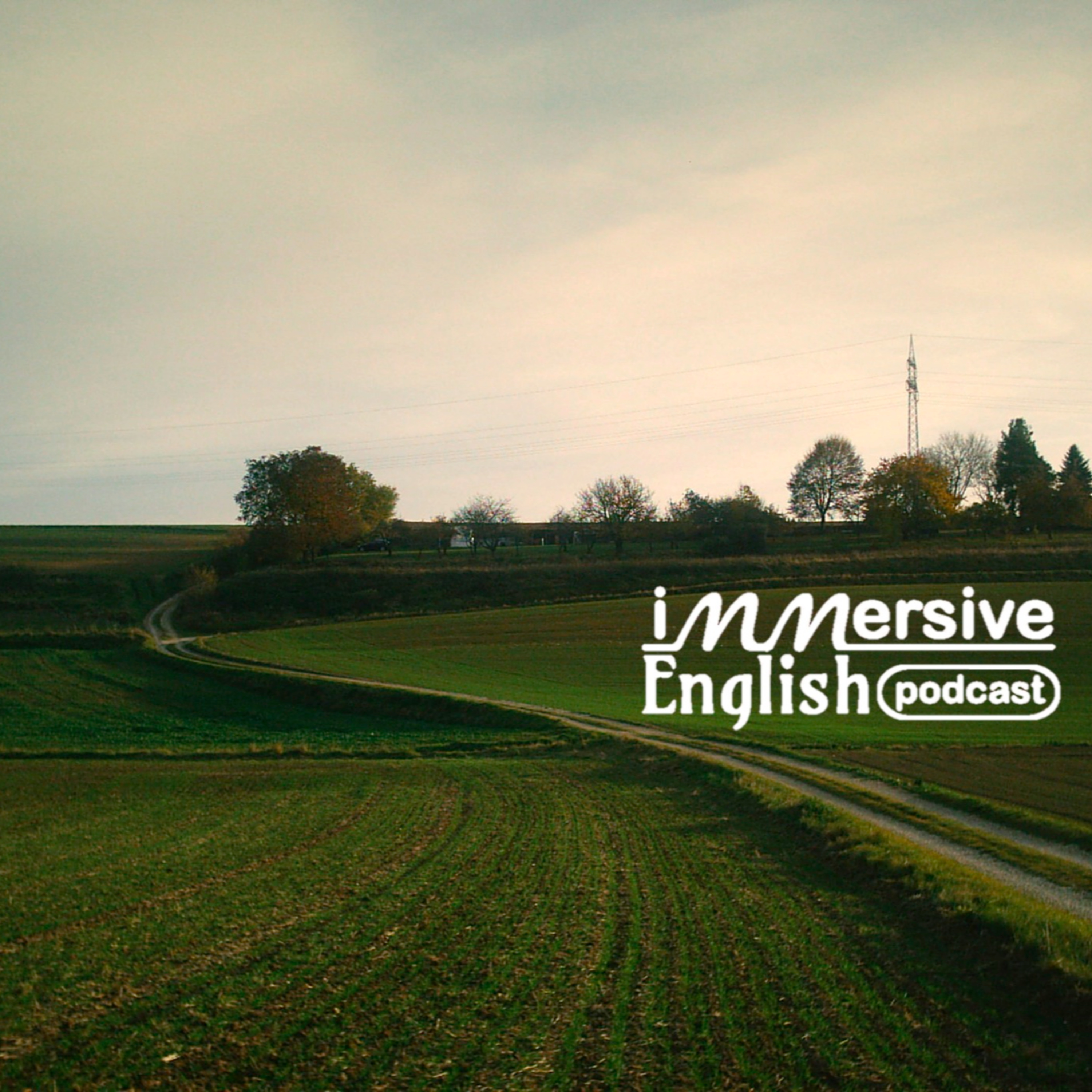 Immersive English