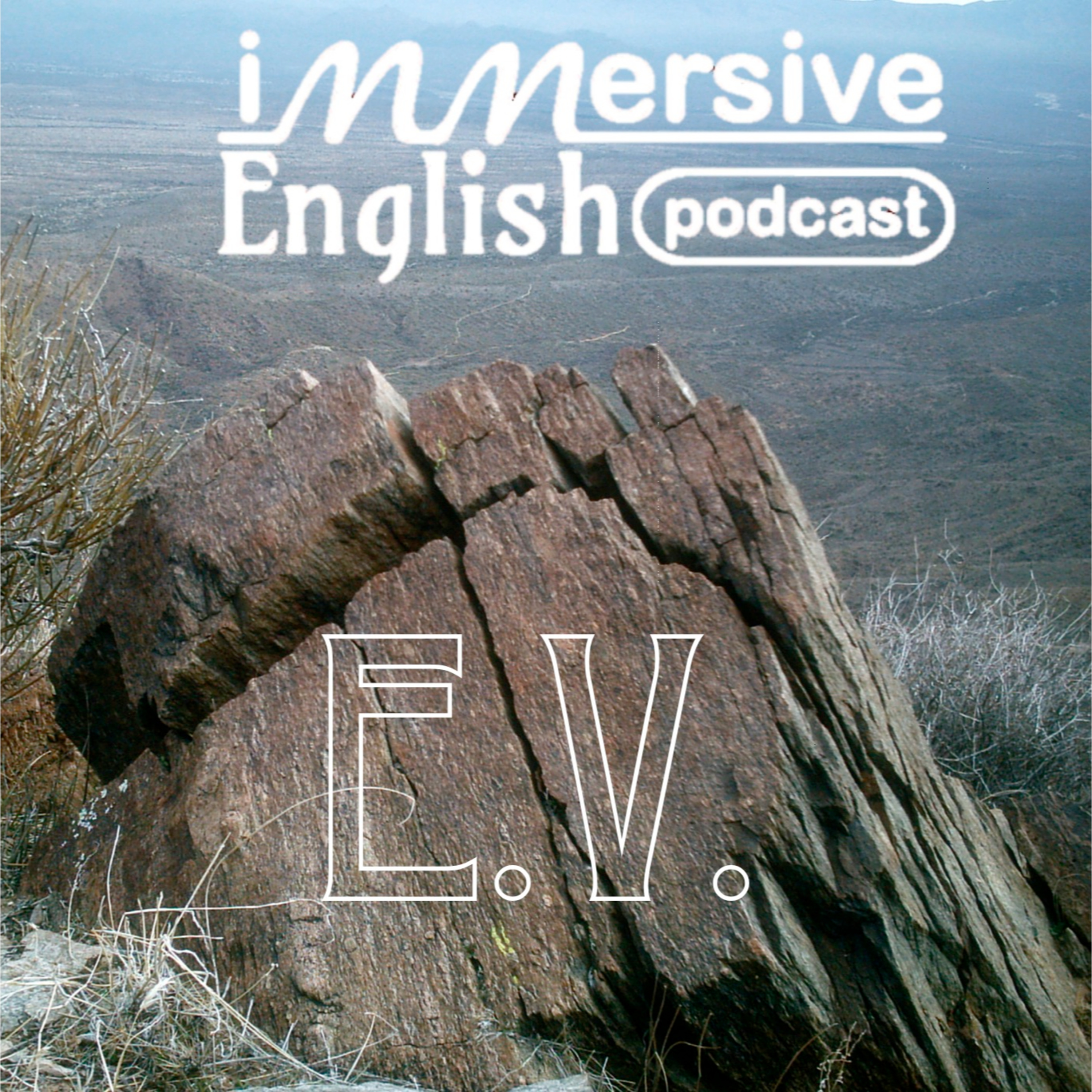 Immersive English