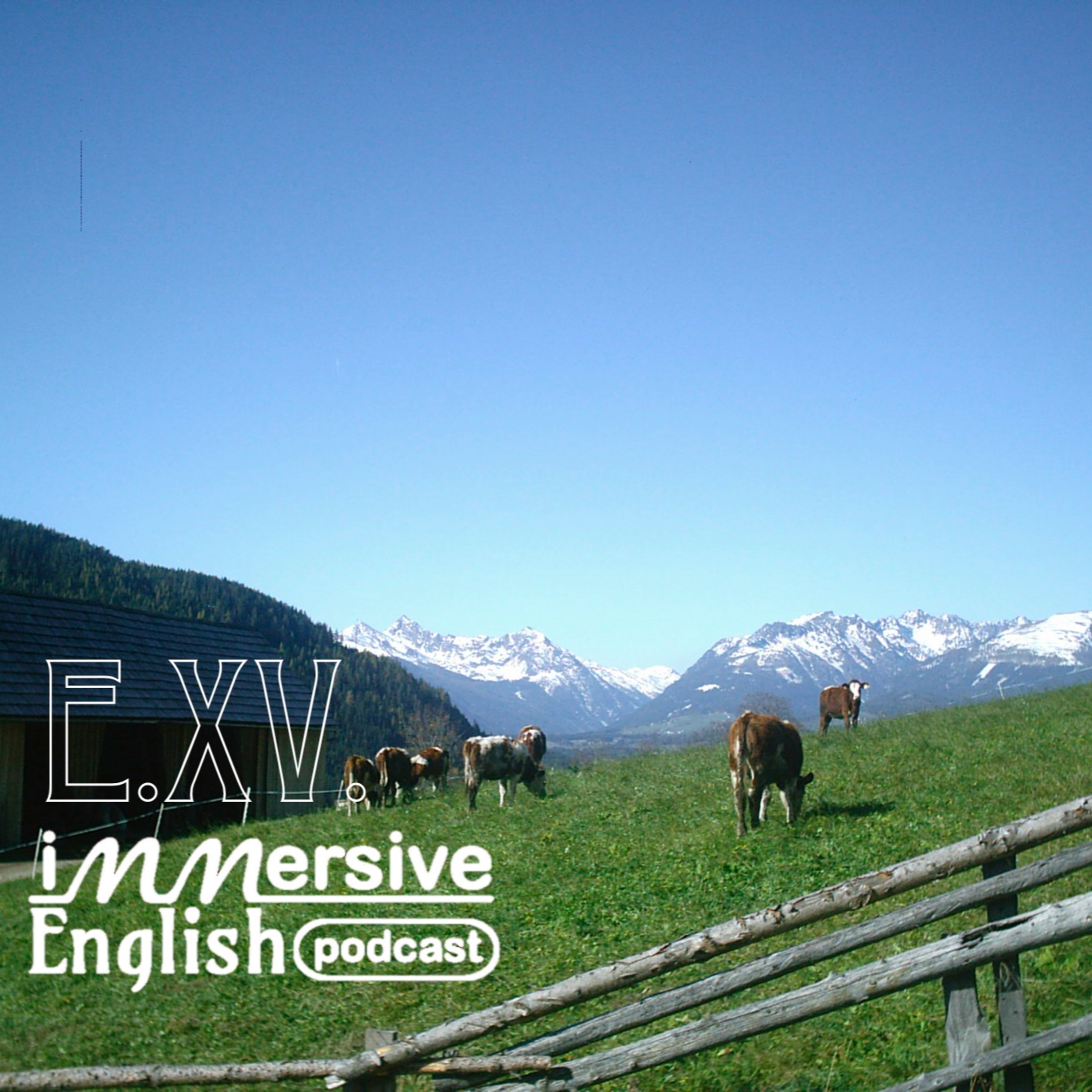 Immersive English