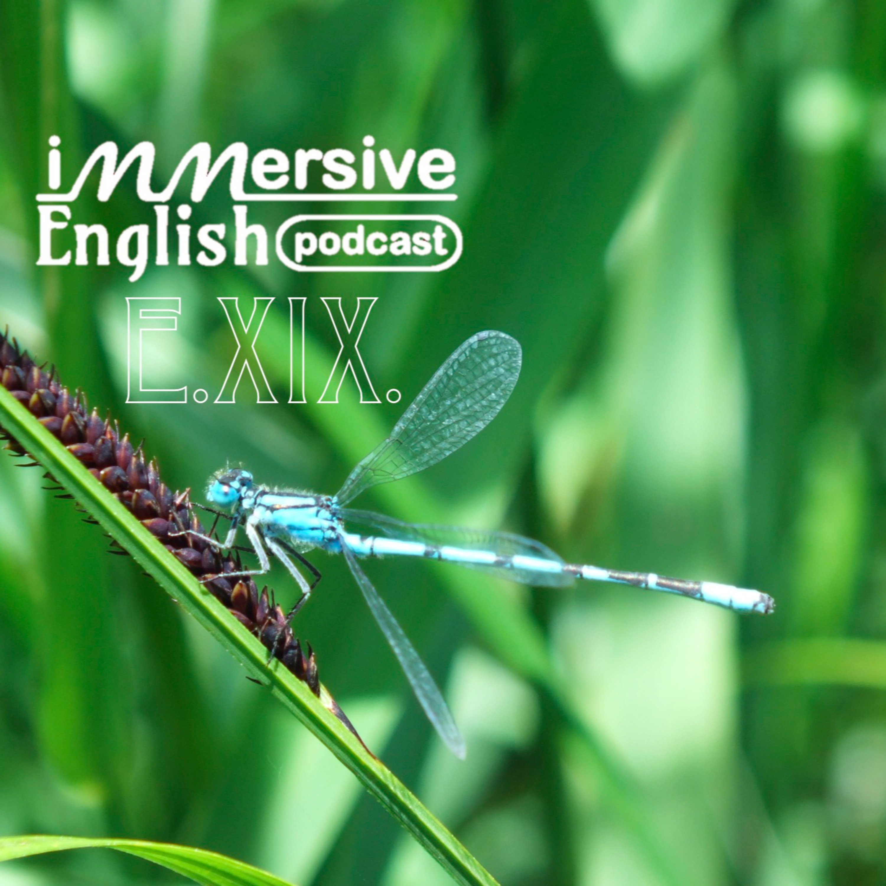 Immersive English