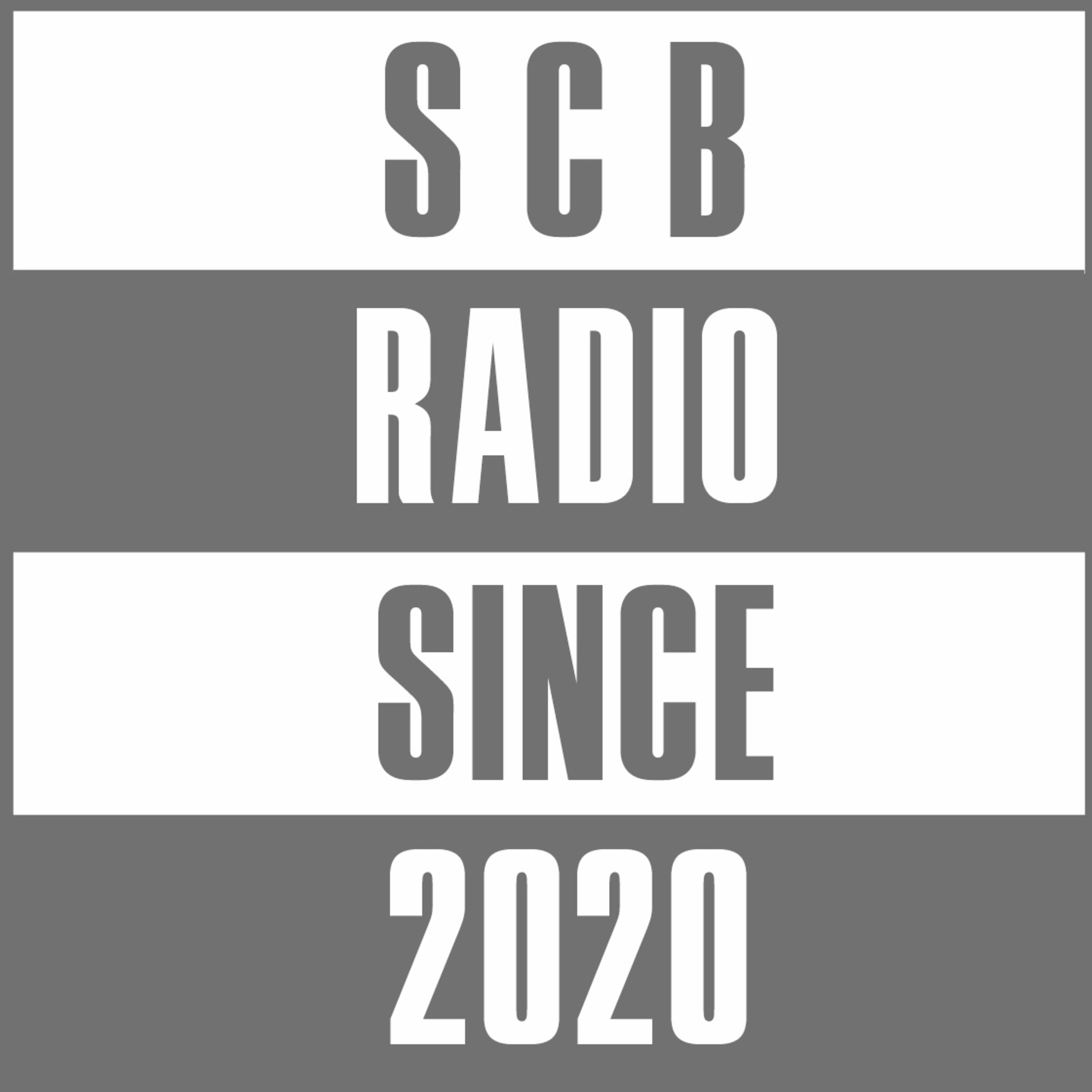 SCB RADIO#113『最近、読んだ本2023Sping Takada Select』 episode artwork