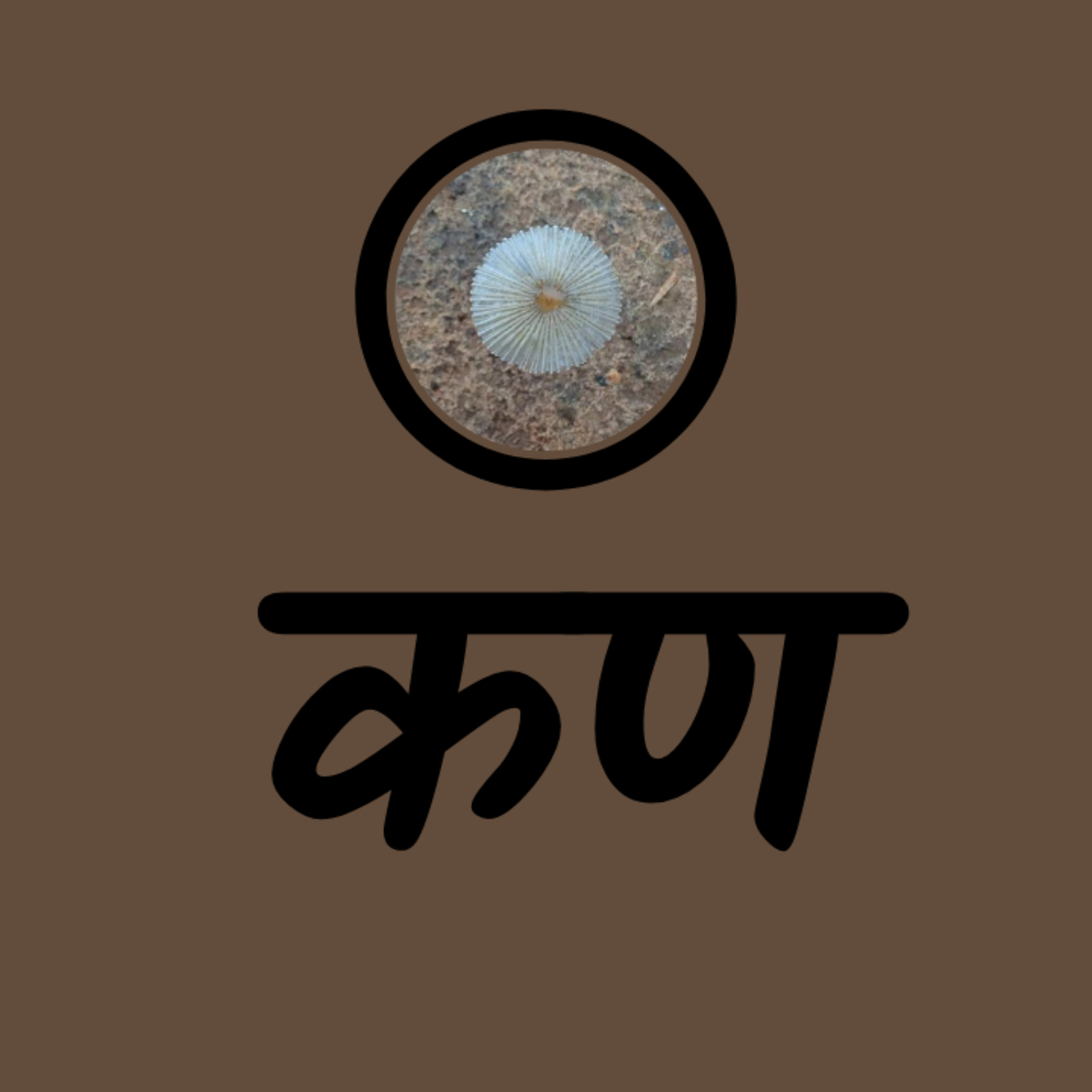 Hindi Cafe