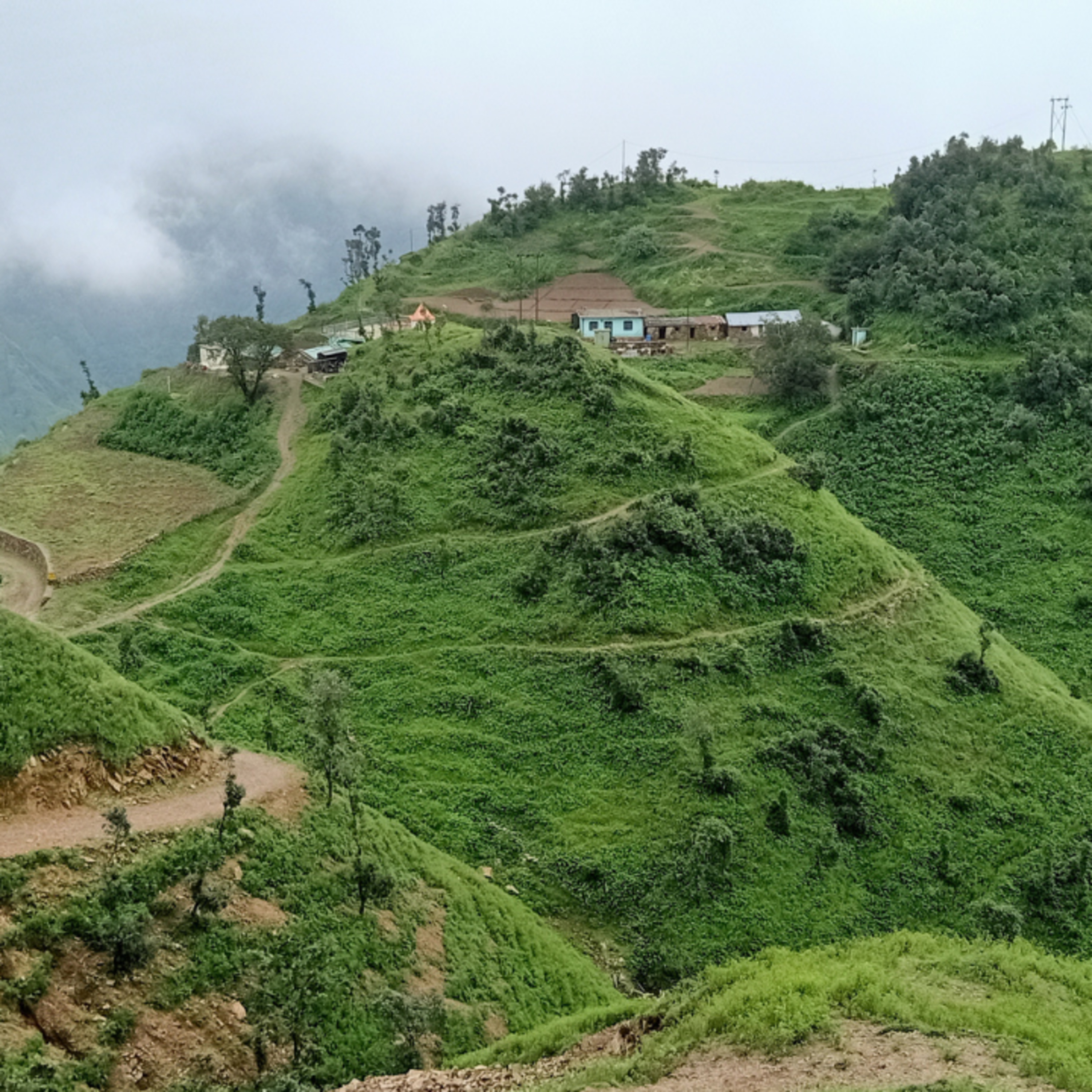 Hindi Cafe