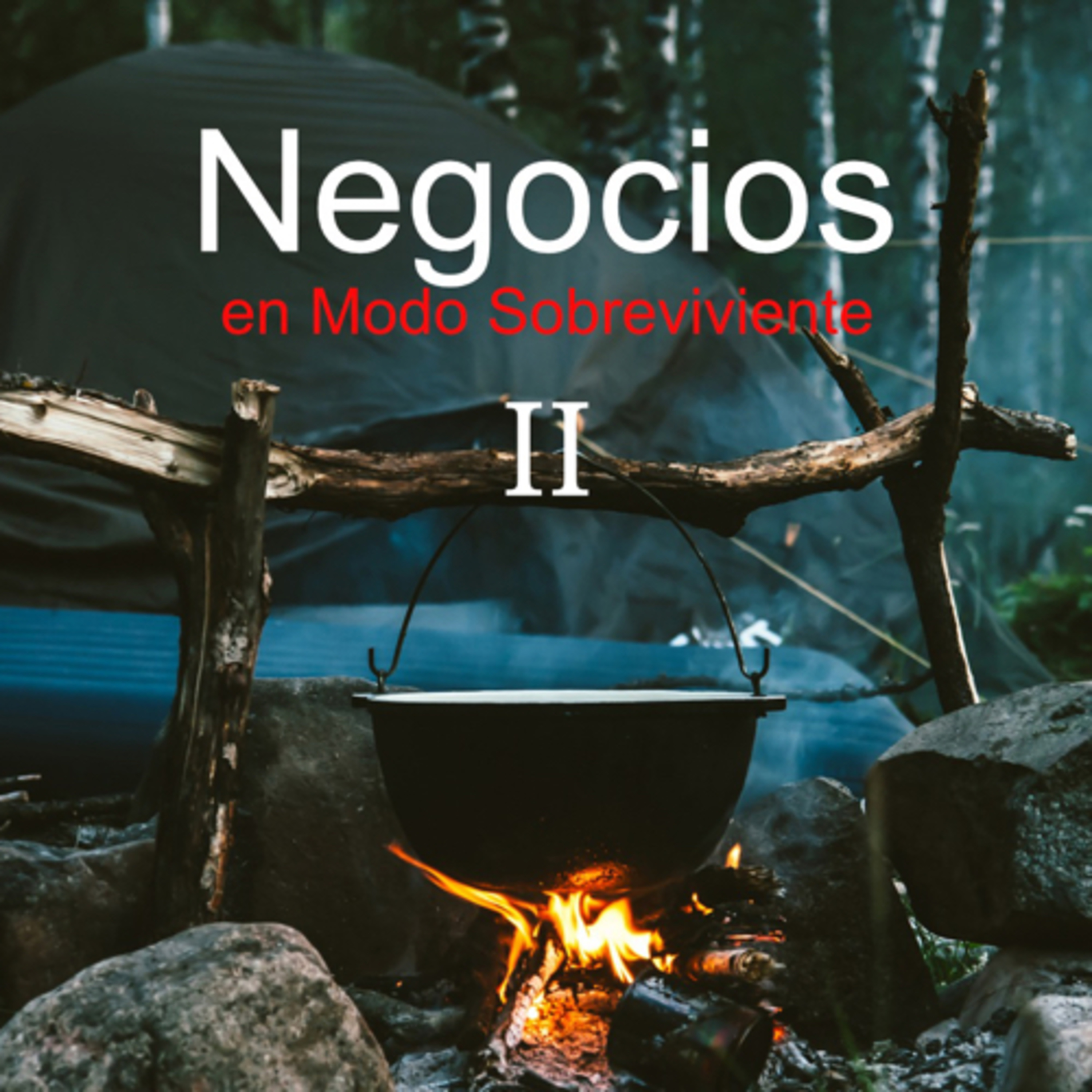 Modo Sobreviviente