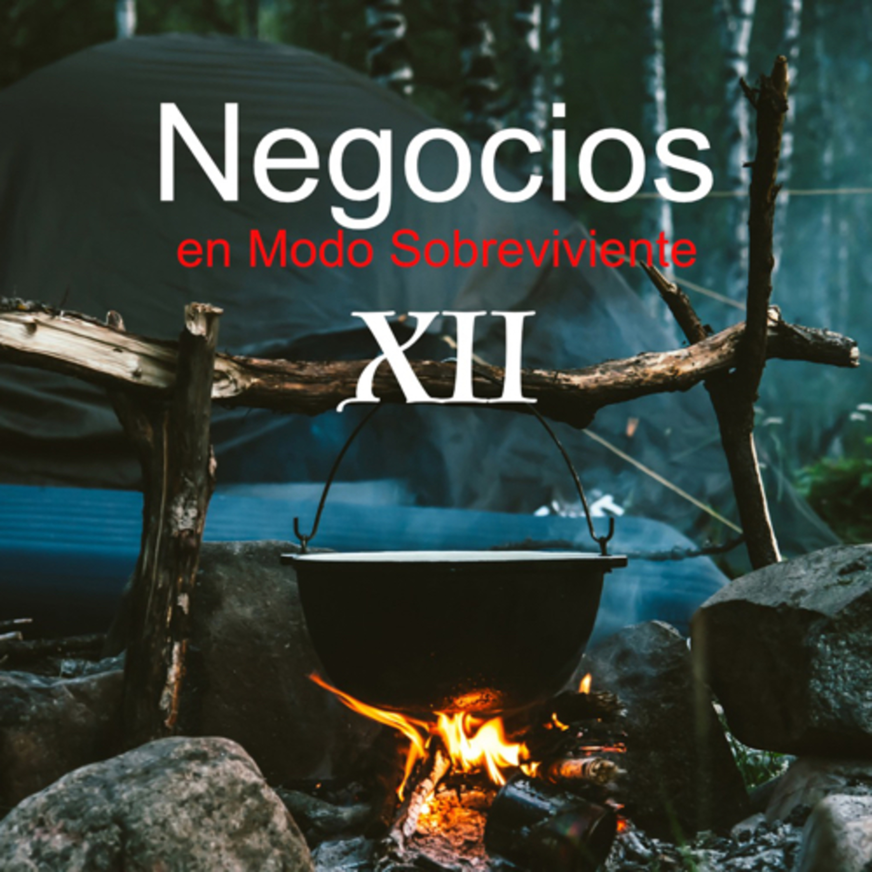 Modo Sobreviviente