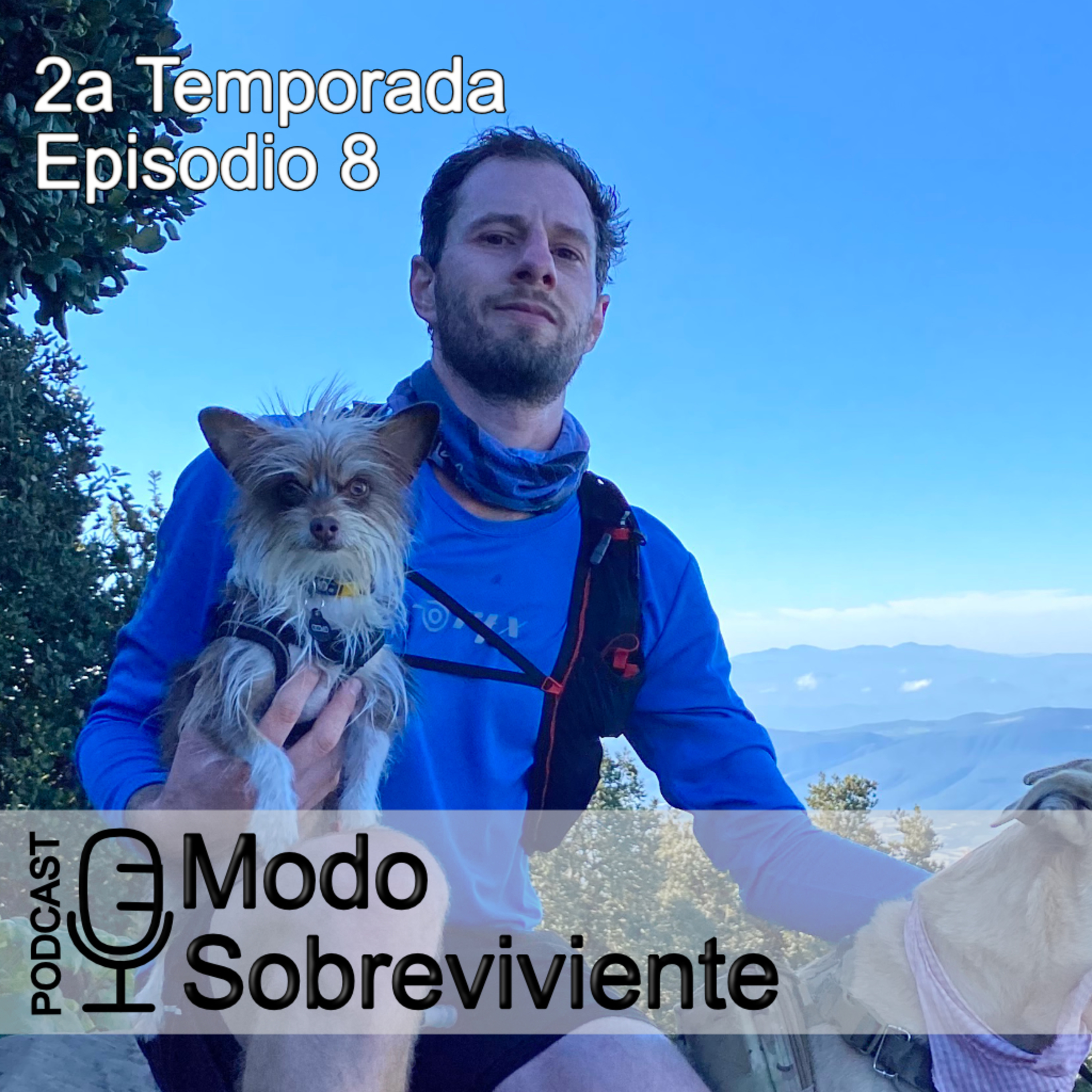 Modo Sobreviviente