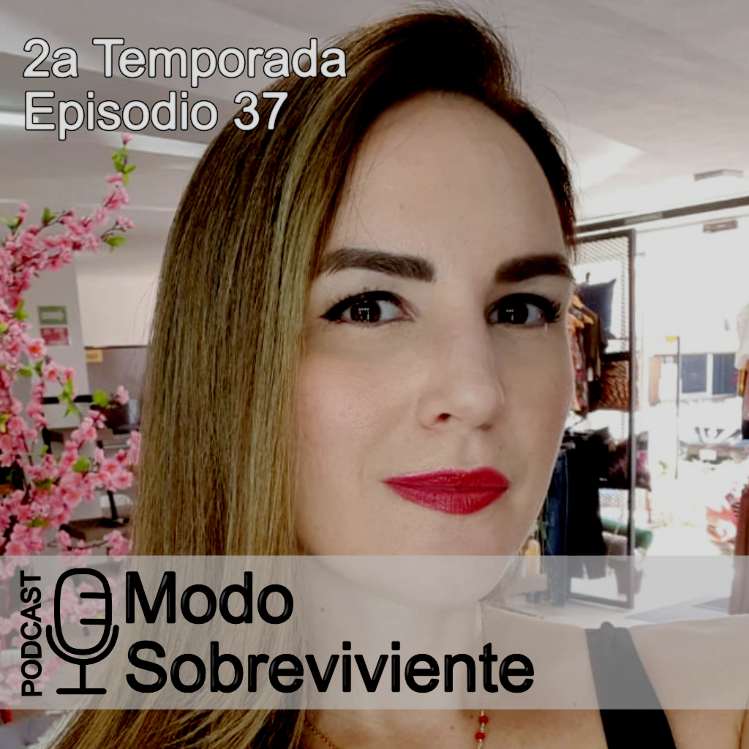 Modo Sobreviviente