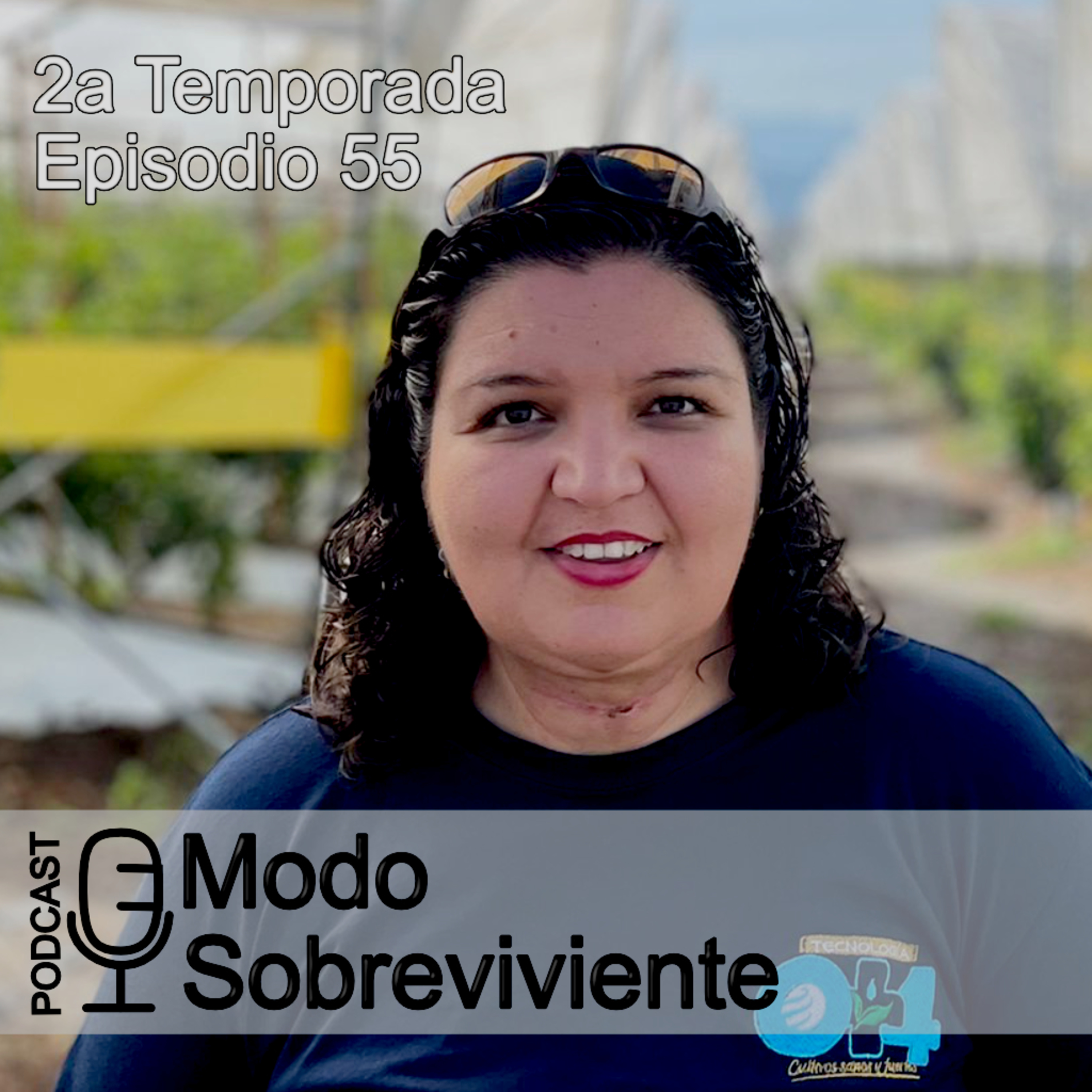 Modo Sobreviviente