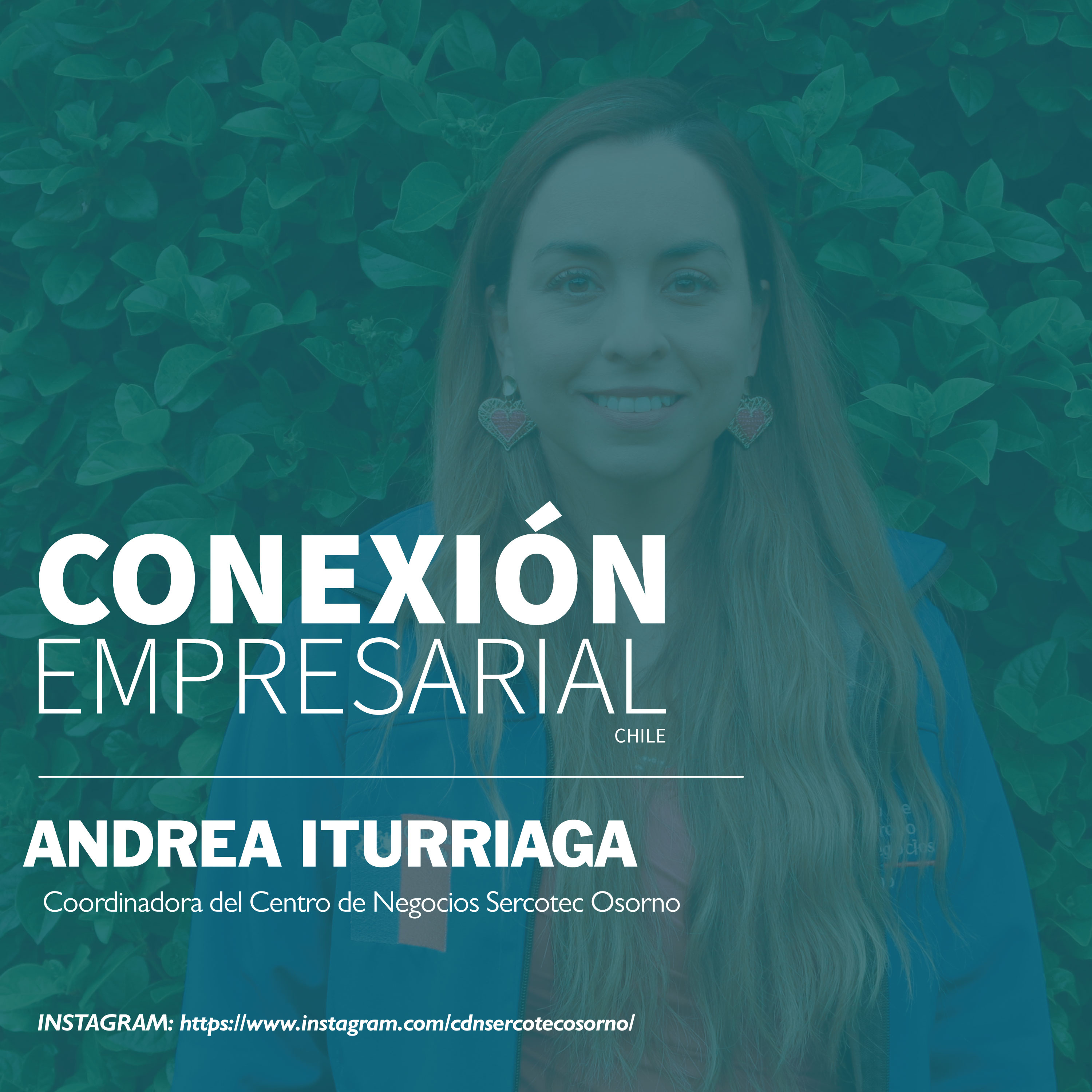 Conexión Empresarial Chile