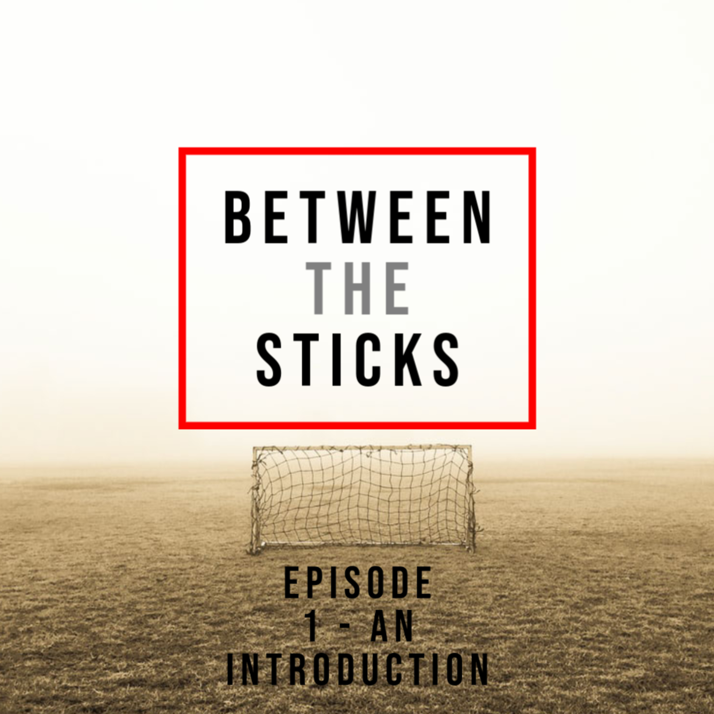Episode 1: An Introduction