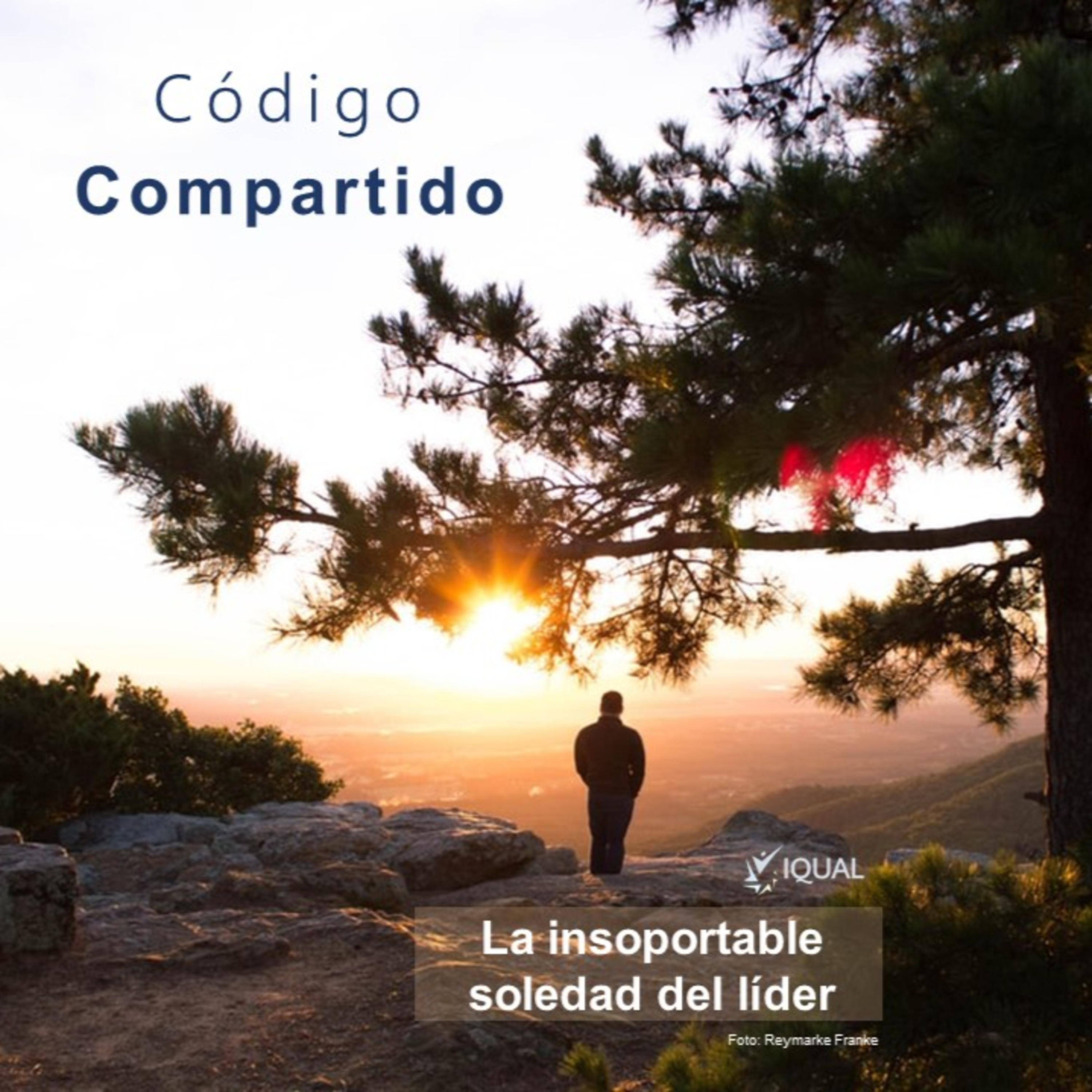 Código Compartido