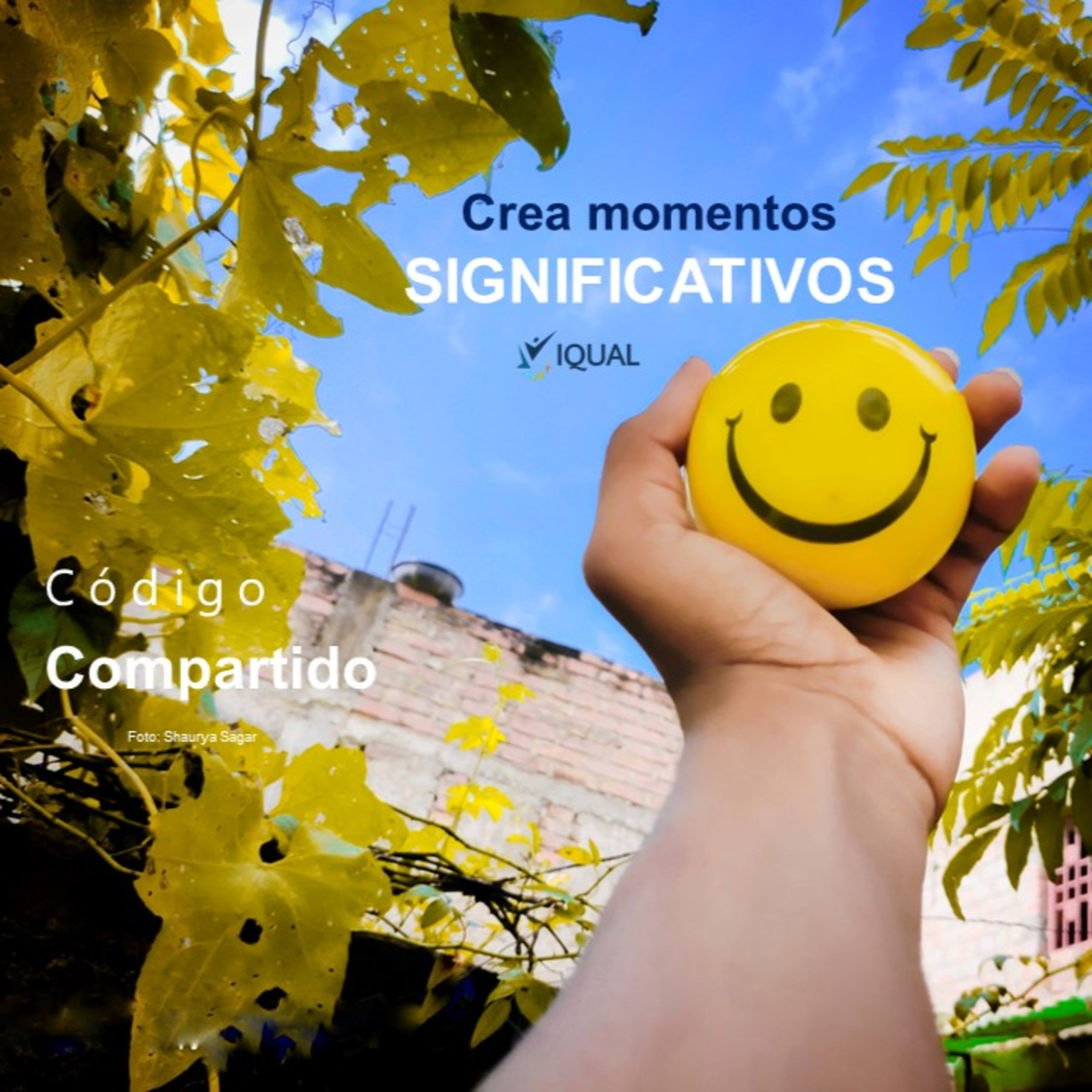 Código Compartido