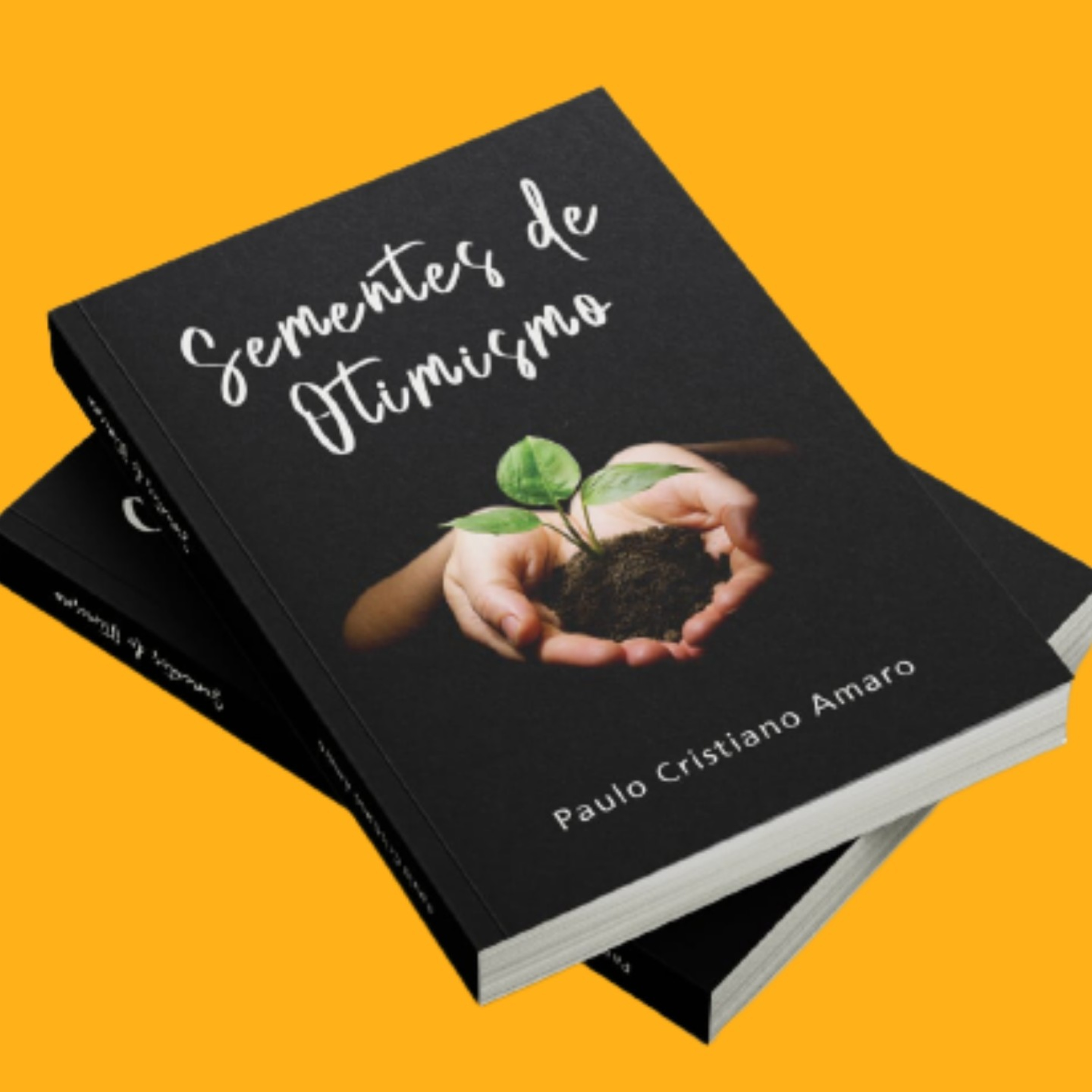 AMARO TREINAMENTOS