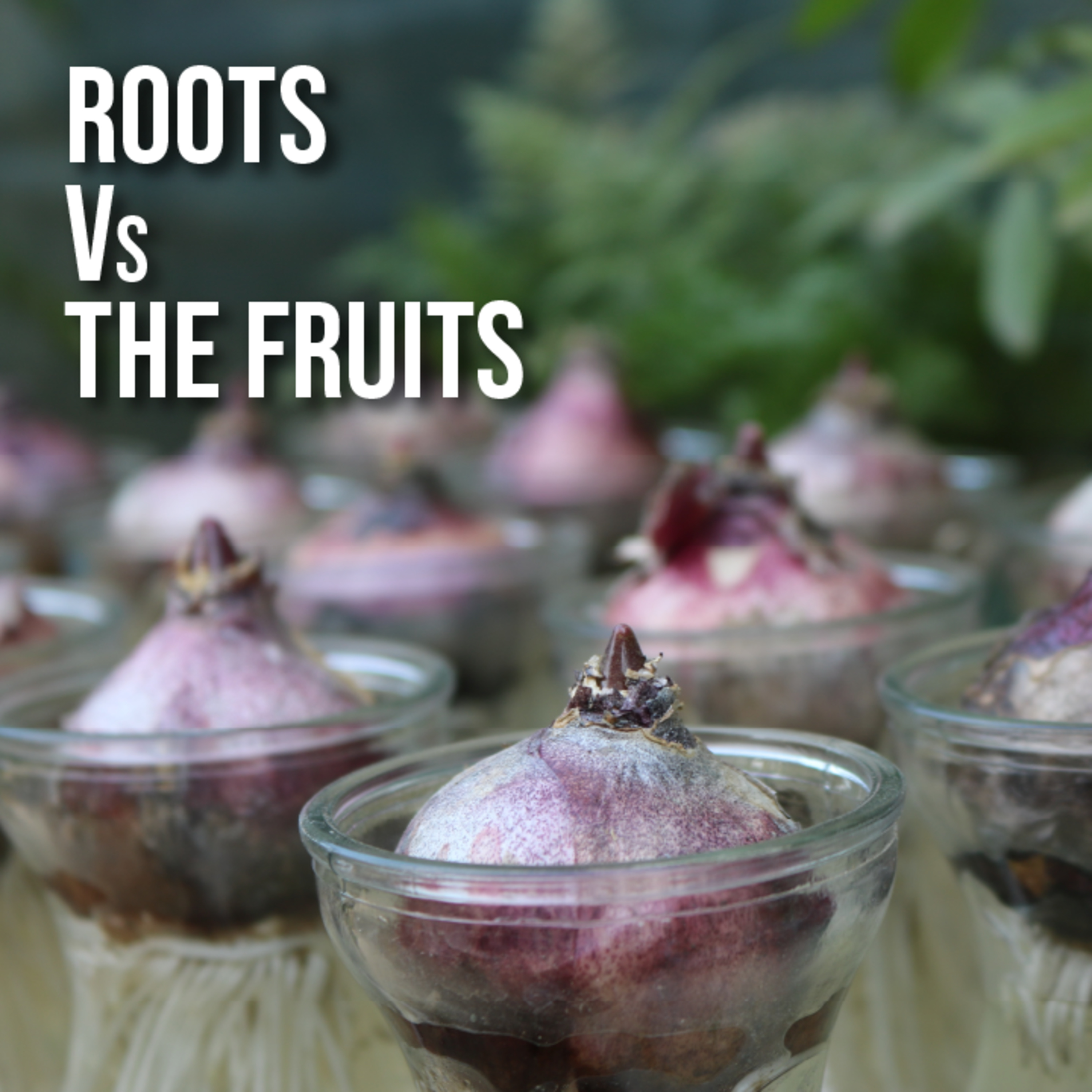 Daily Dose of Leadership