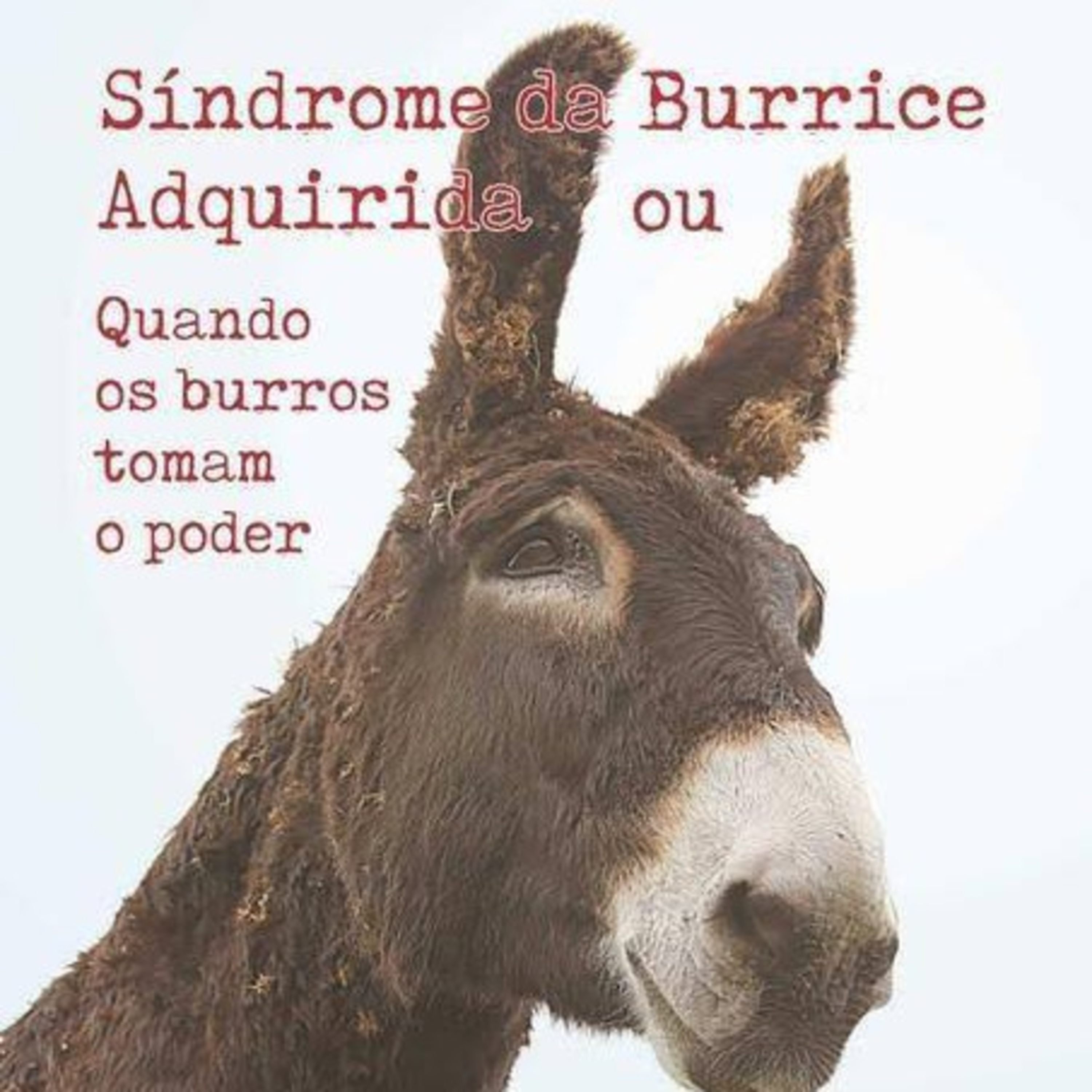 O Eremita