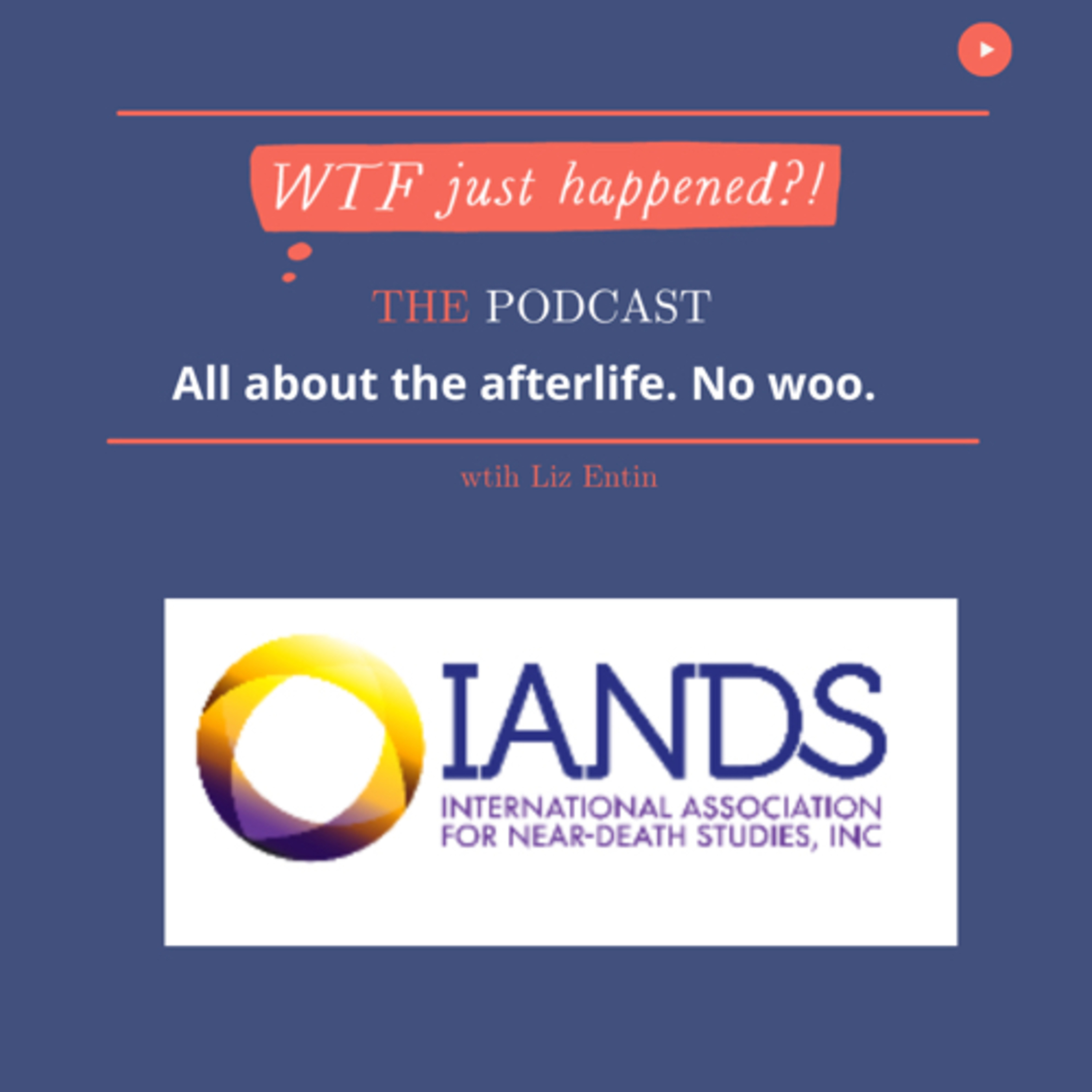 WTF Just Happened?!: All about the afterlife. No woo.