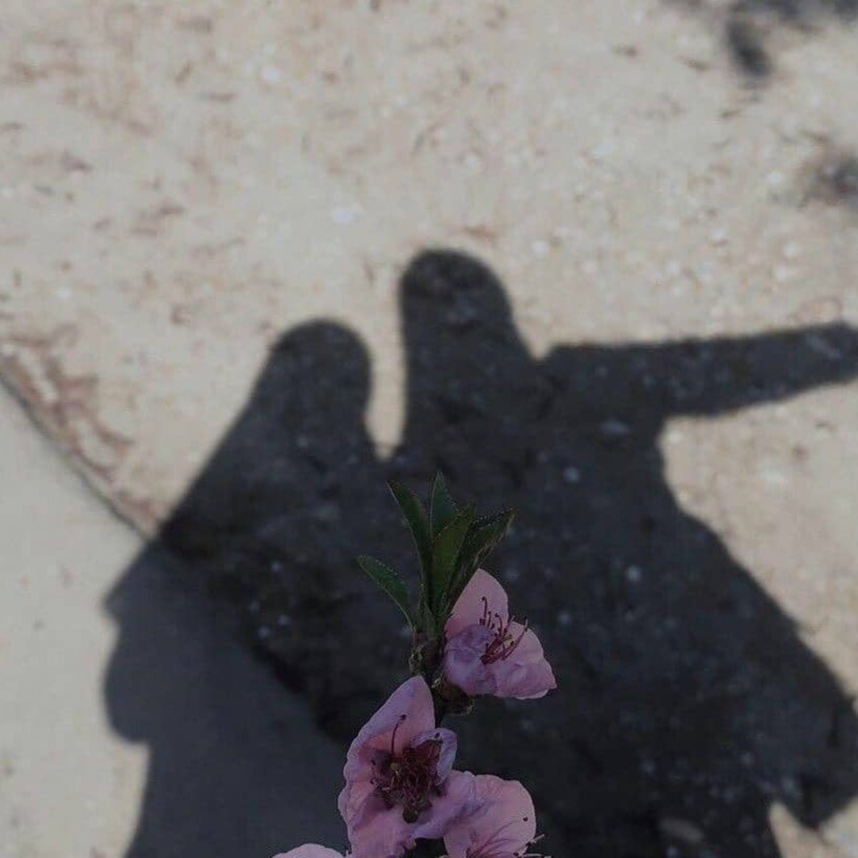 Rizqiameell