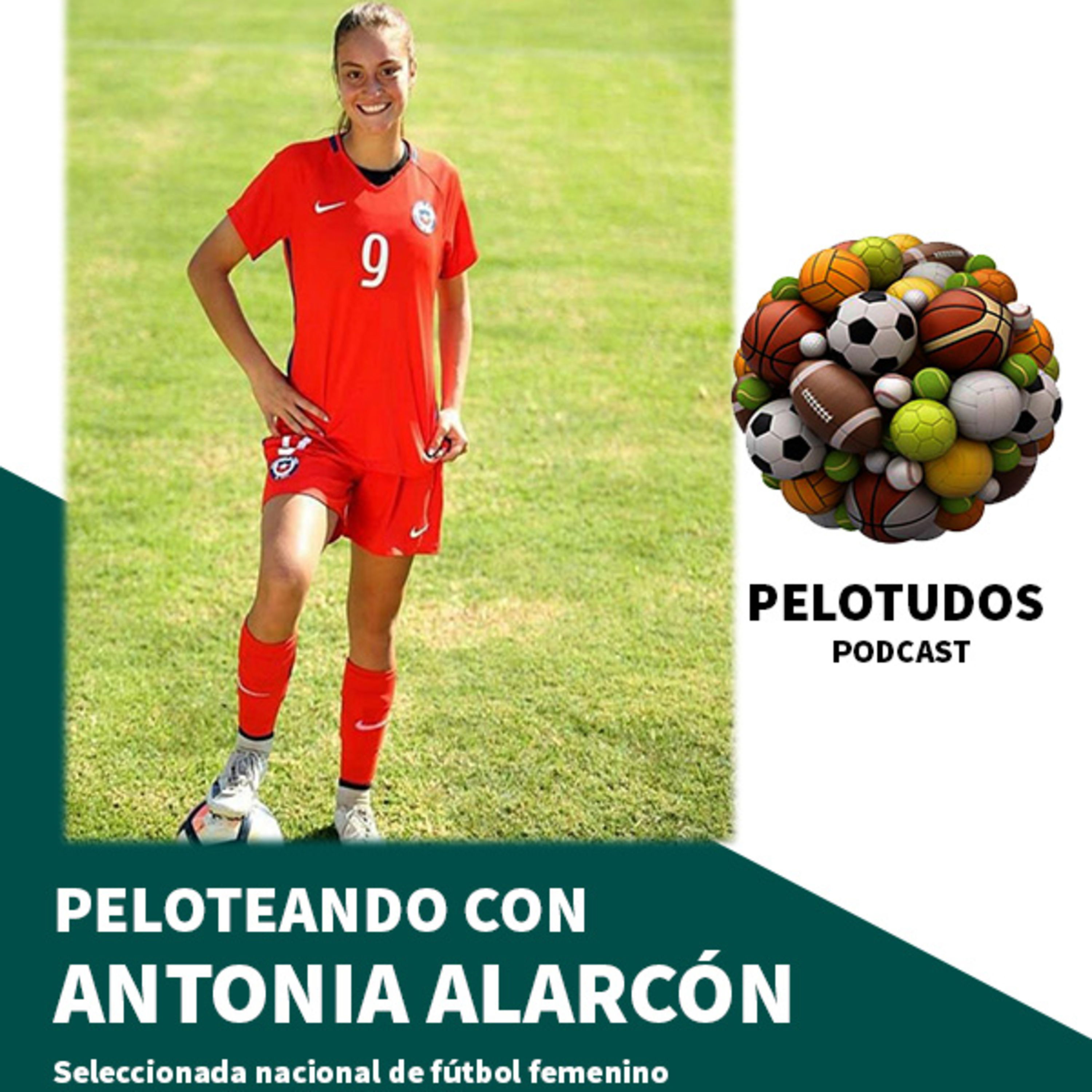 Pelotudos