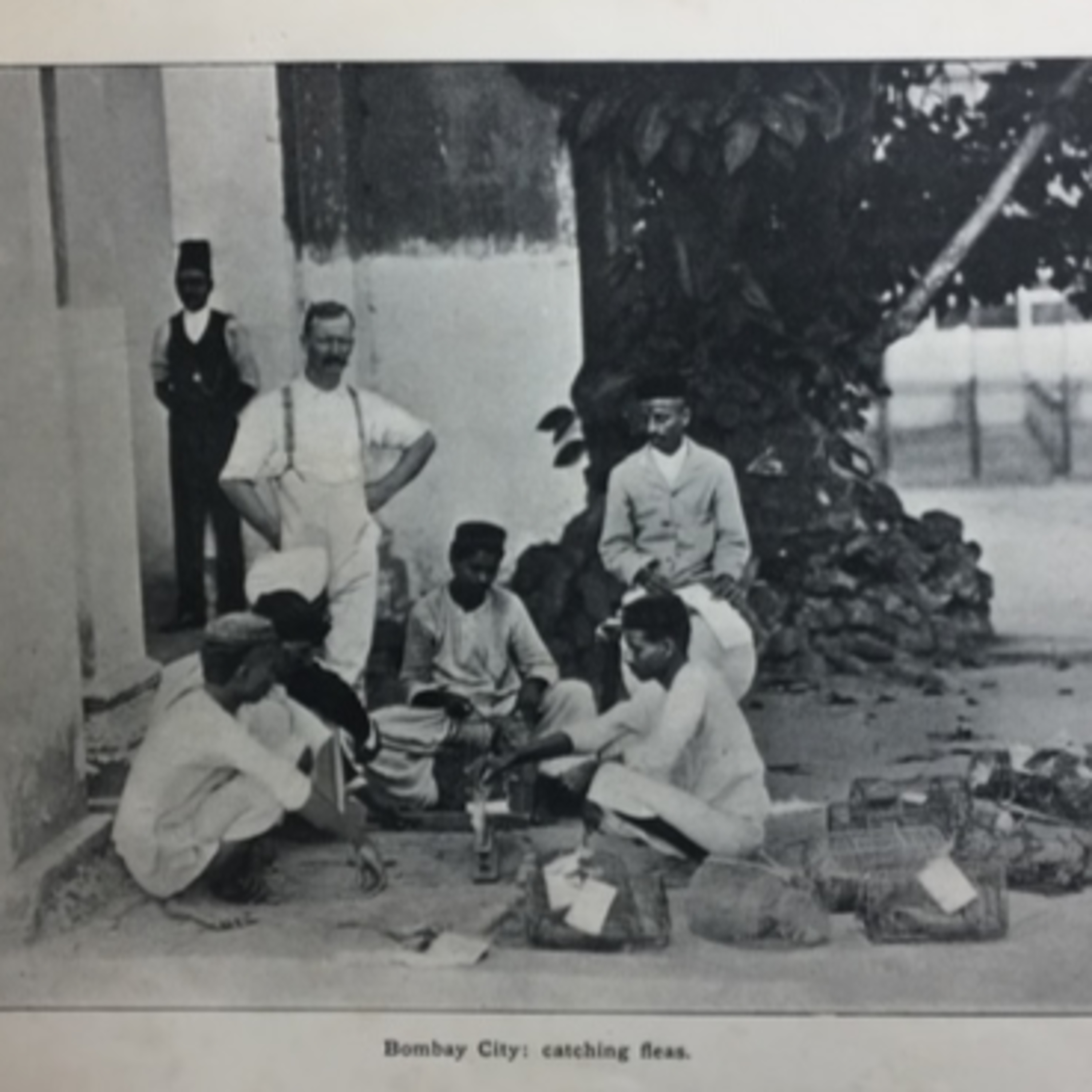 Infectious Historians