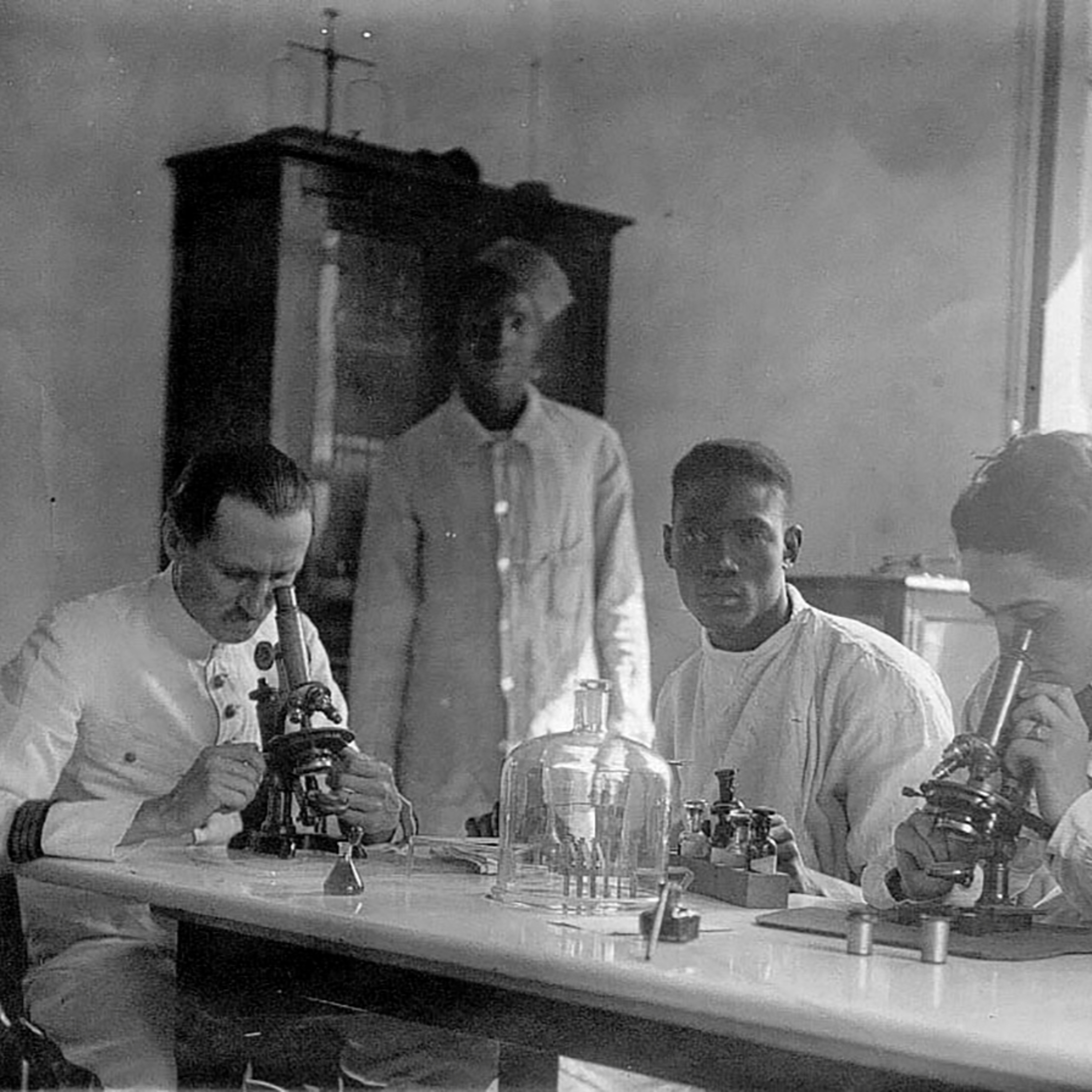 Infectious Historians