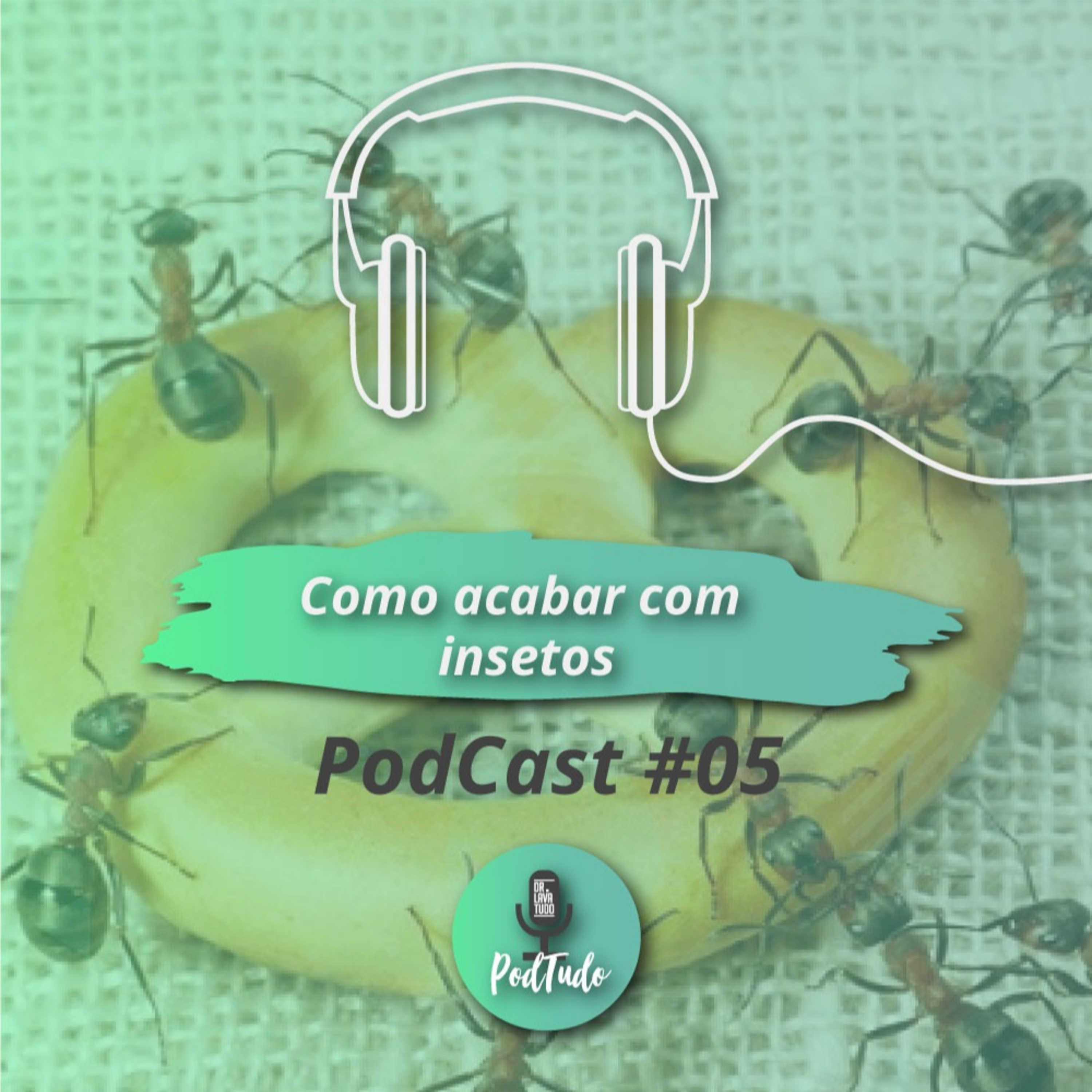 Como acabar com traças, moscas e formigas? - Aprenda a eliminar os insetos dentro de casa