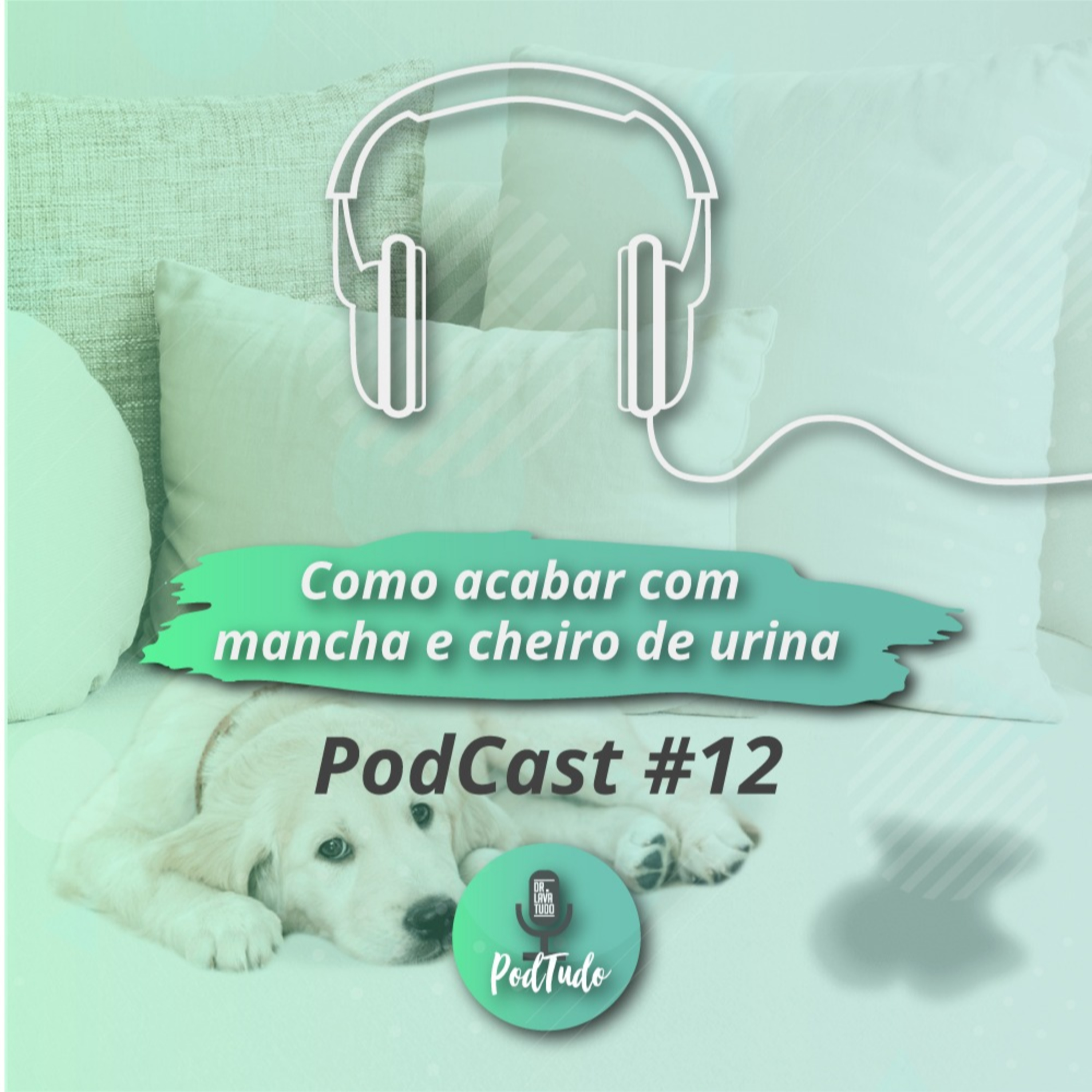 # 12 Como tirar mancha e cheiro de urina dos estofados?