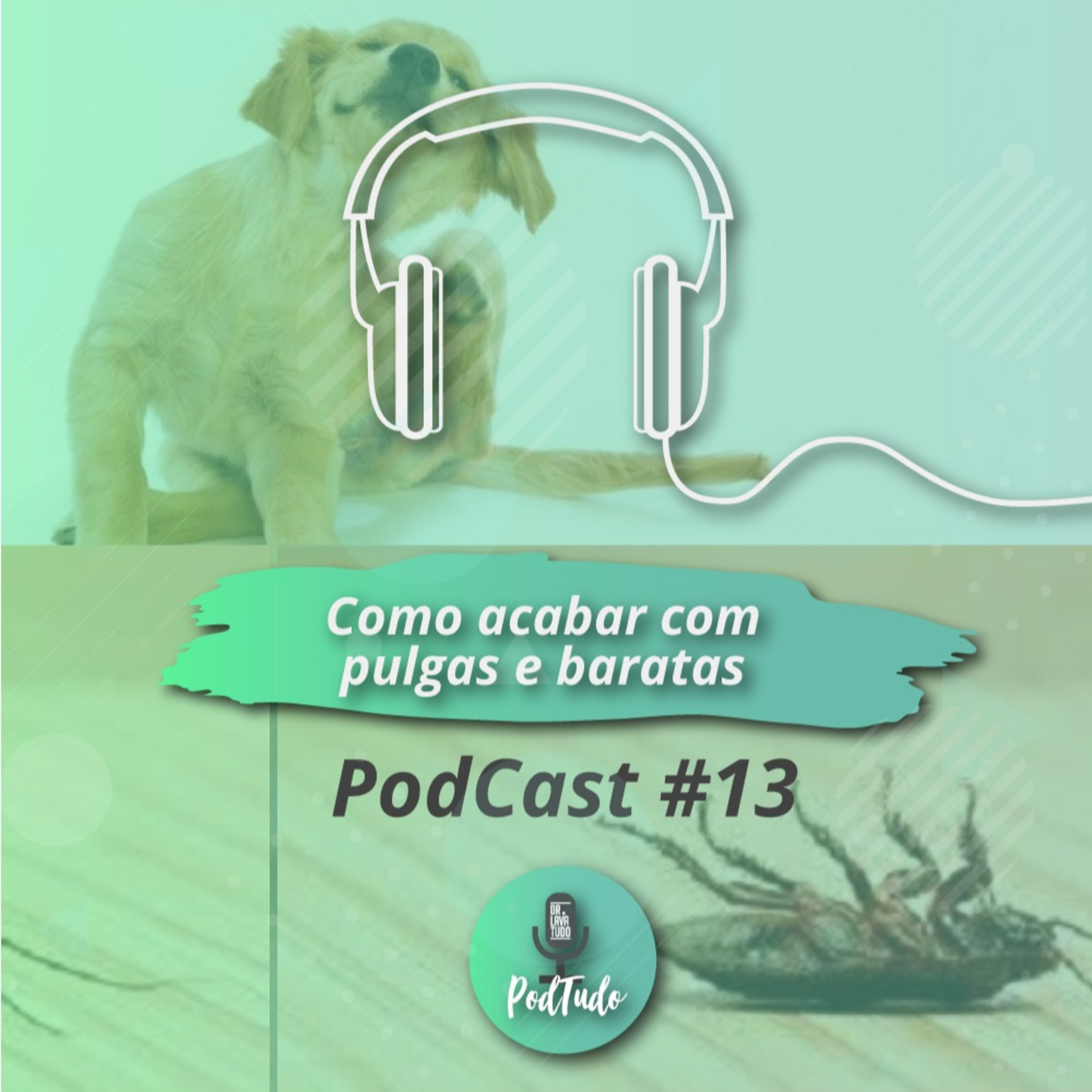 PodTudo: Dicas de Limpeza e Decoração - Dr. Lava Tudo