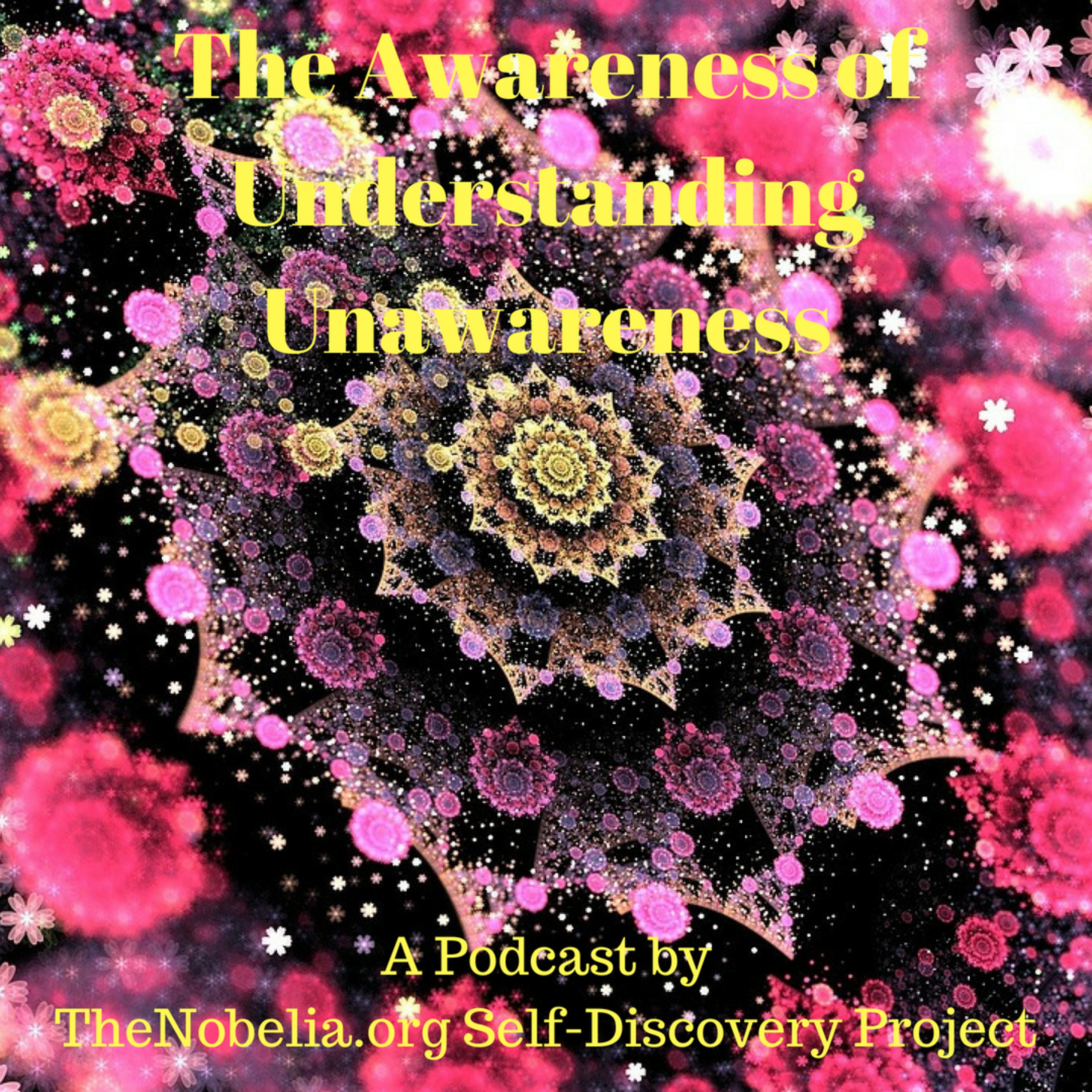 The Awareness of Understanding Unawareness episode artwork