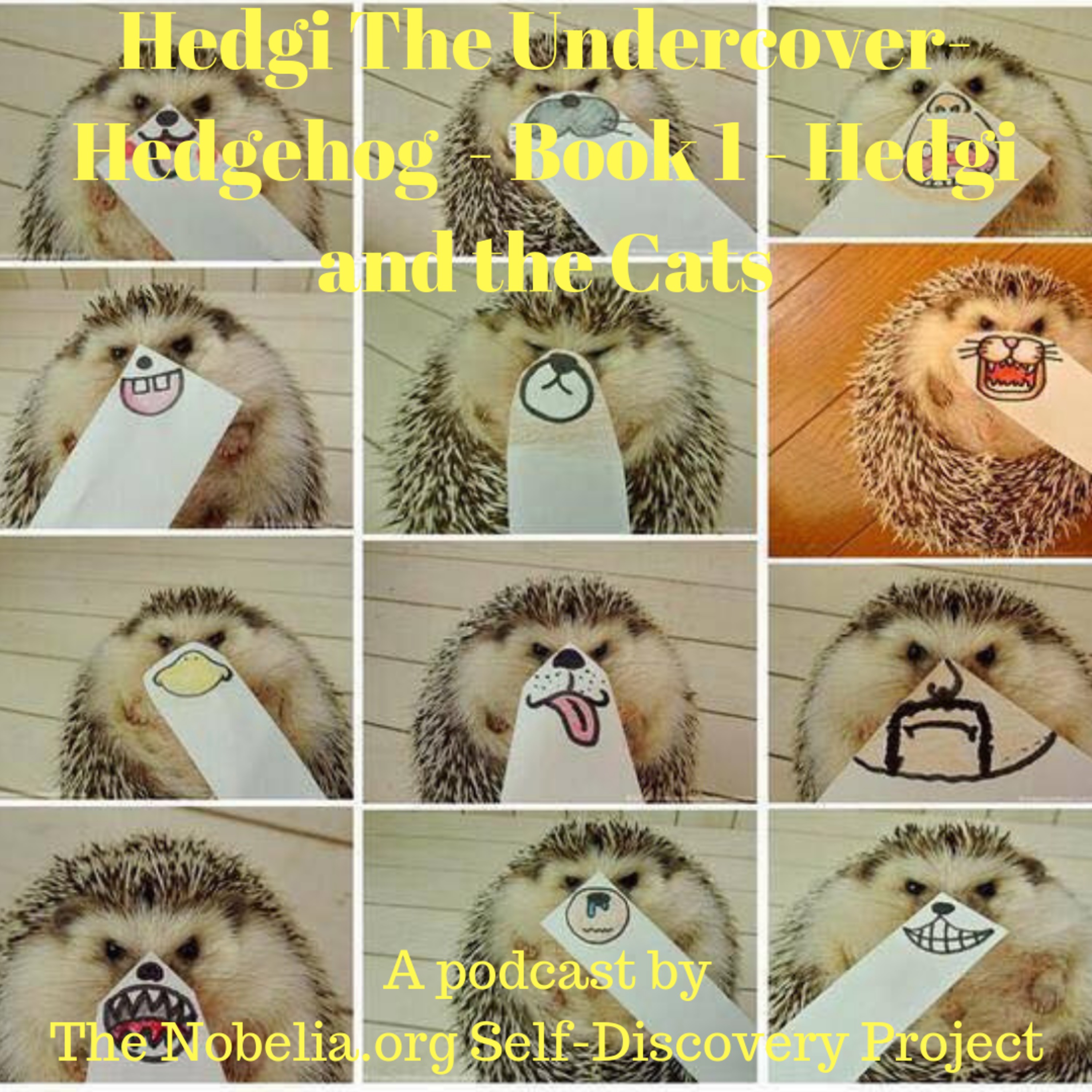 Hedgi The Undercover-Hedgehog - Book 1 - Hedgi and the Cats episode artwork