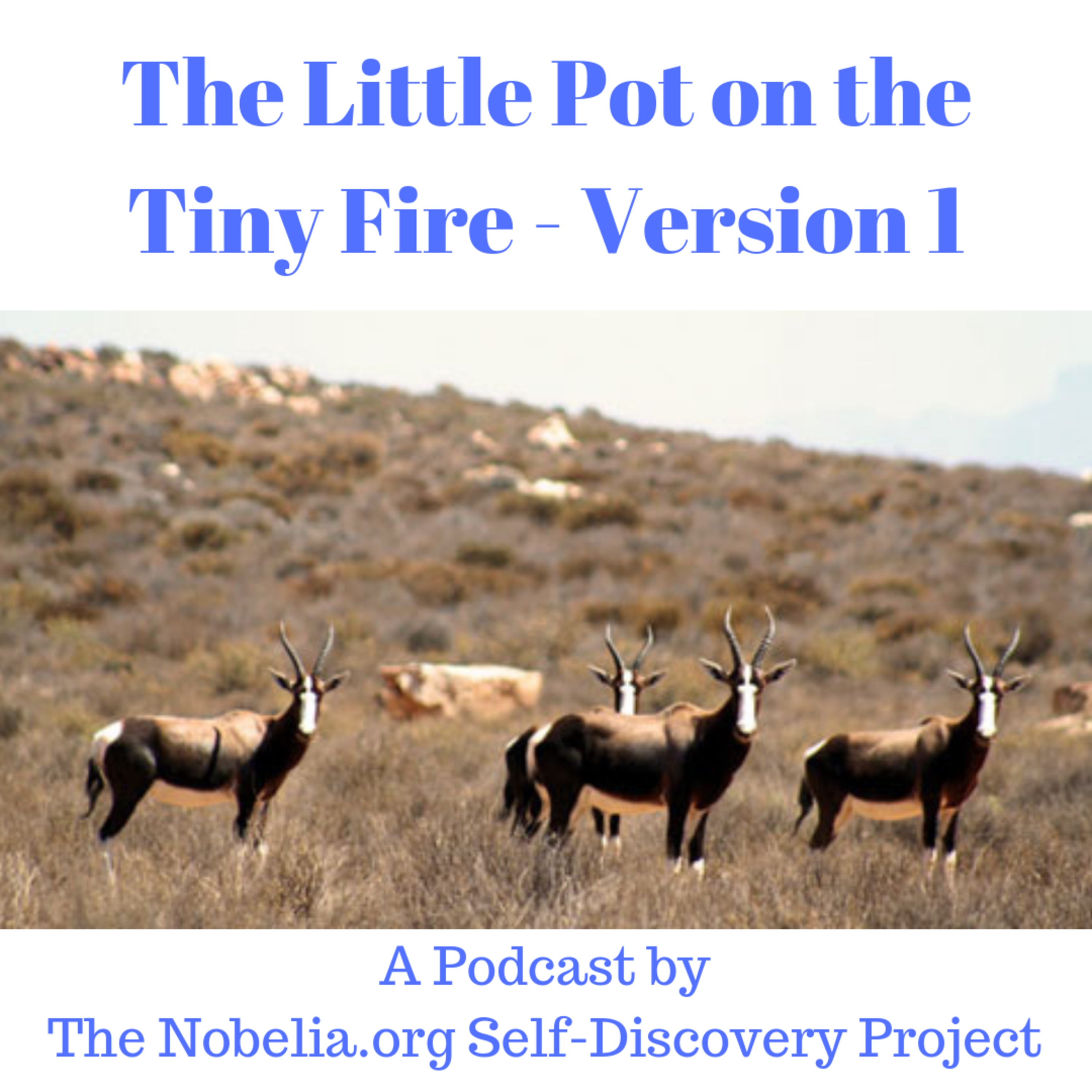 The Nobelia.org Self-Discovery Project