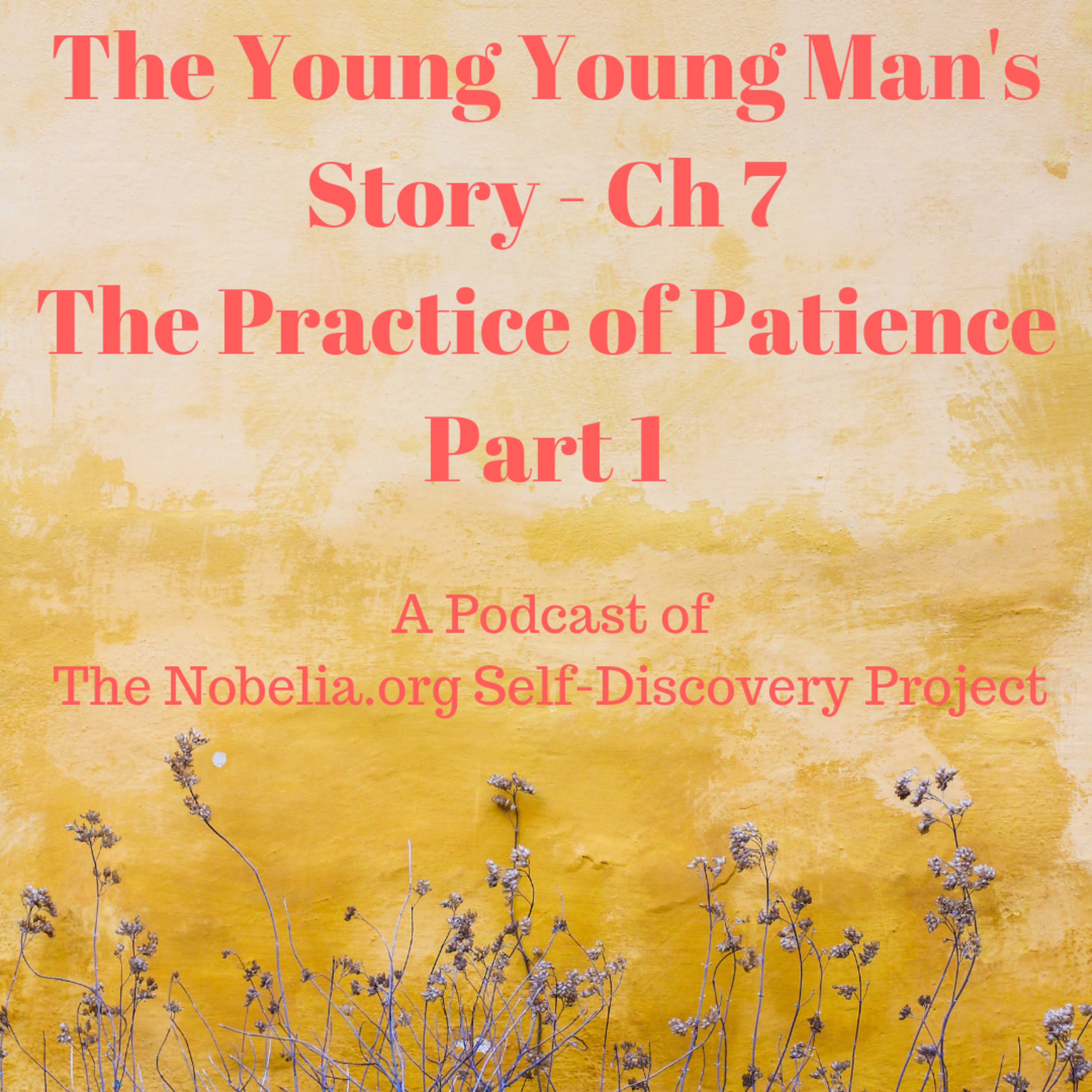 The Nobelia.org Self-Discovery Project