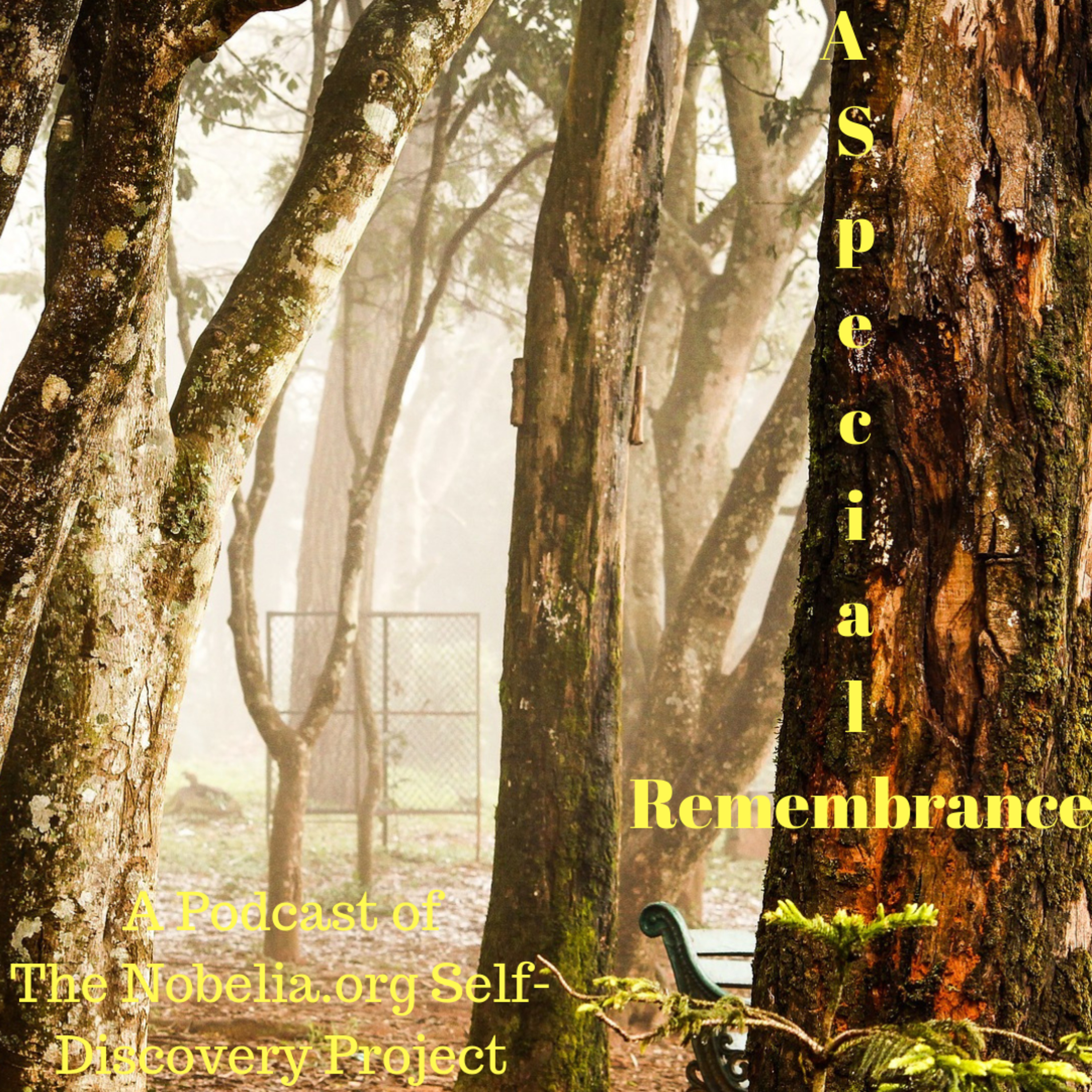The Nobelia.org Self-Discovery Project