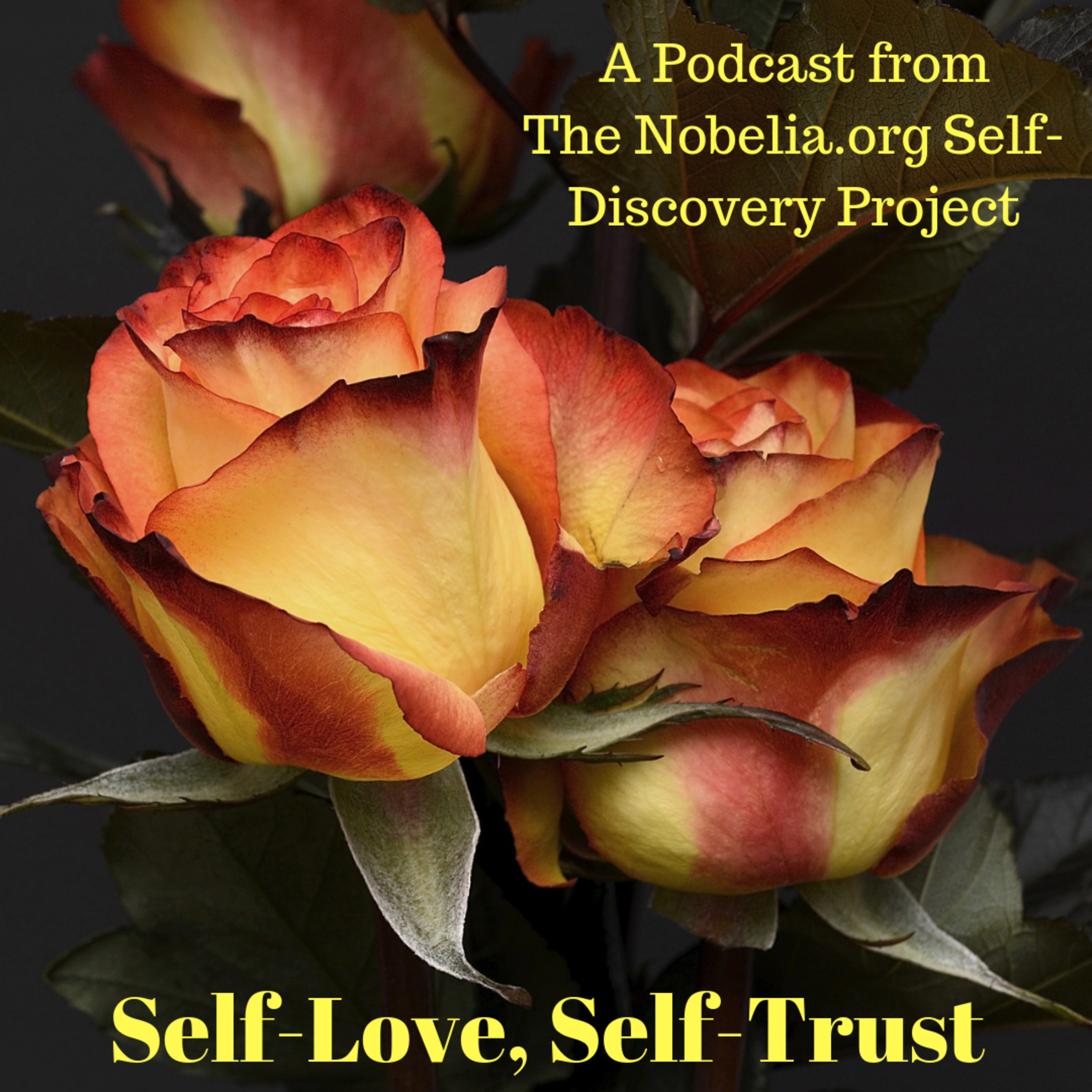 The Nobelia.org Self-Discovery Project