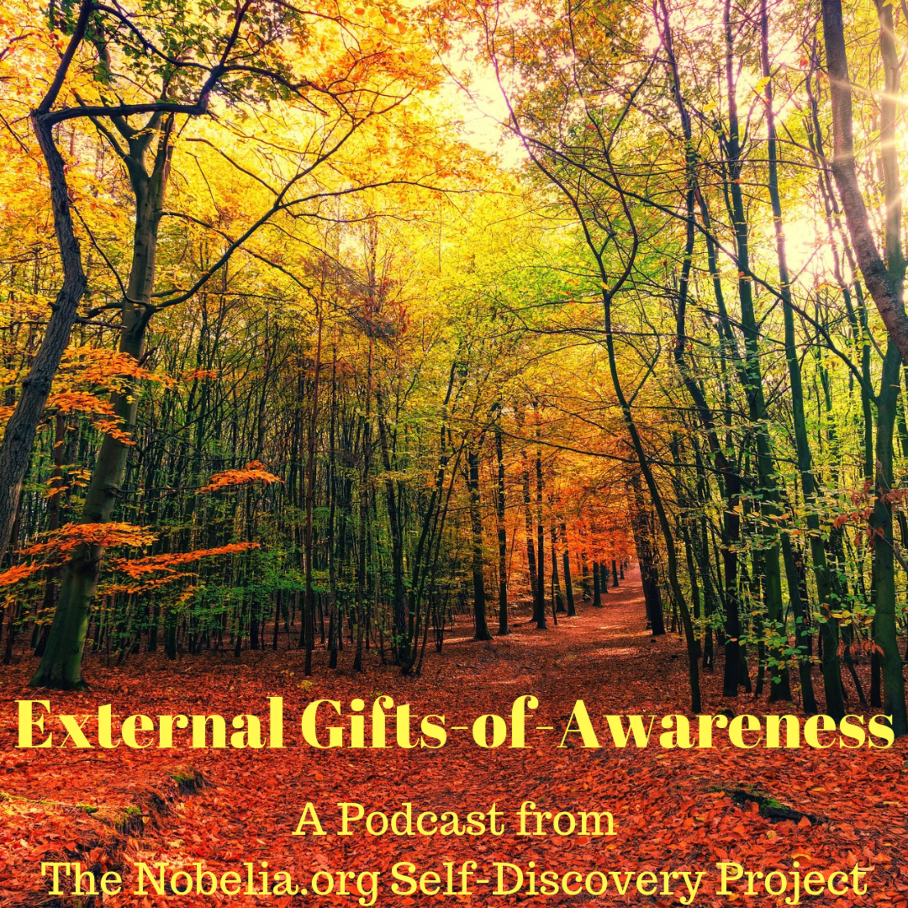 The Nobelia.org Self-Discovery Project
