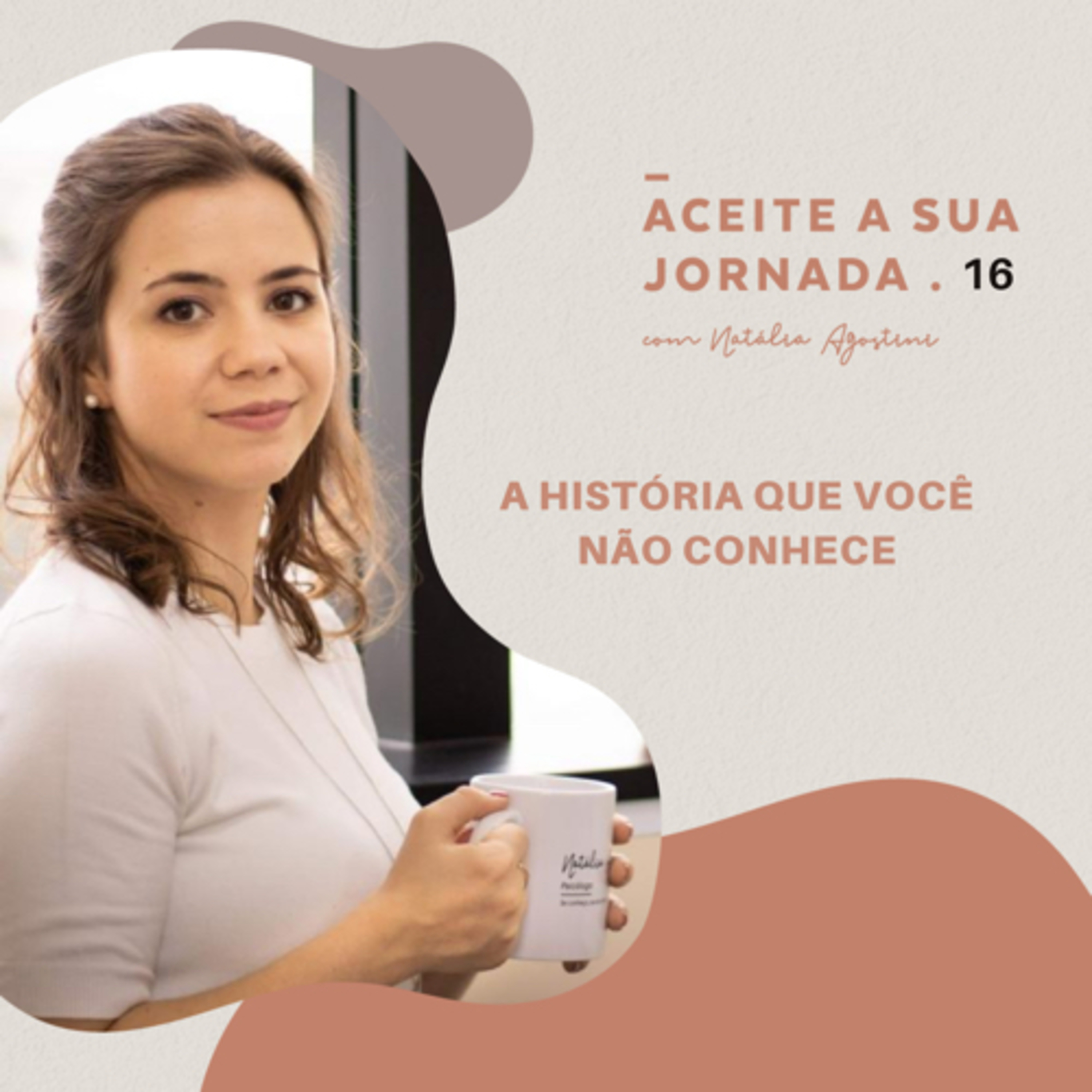 A história que você não conhece episode artwork