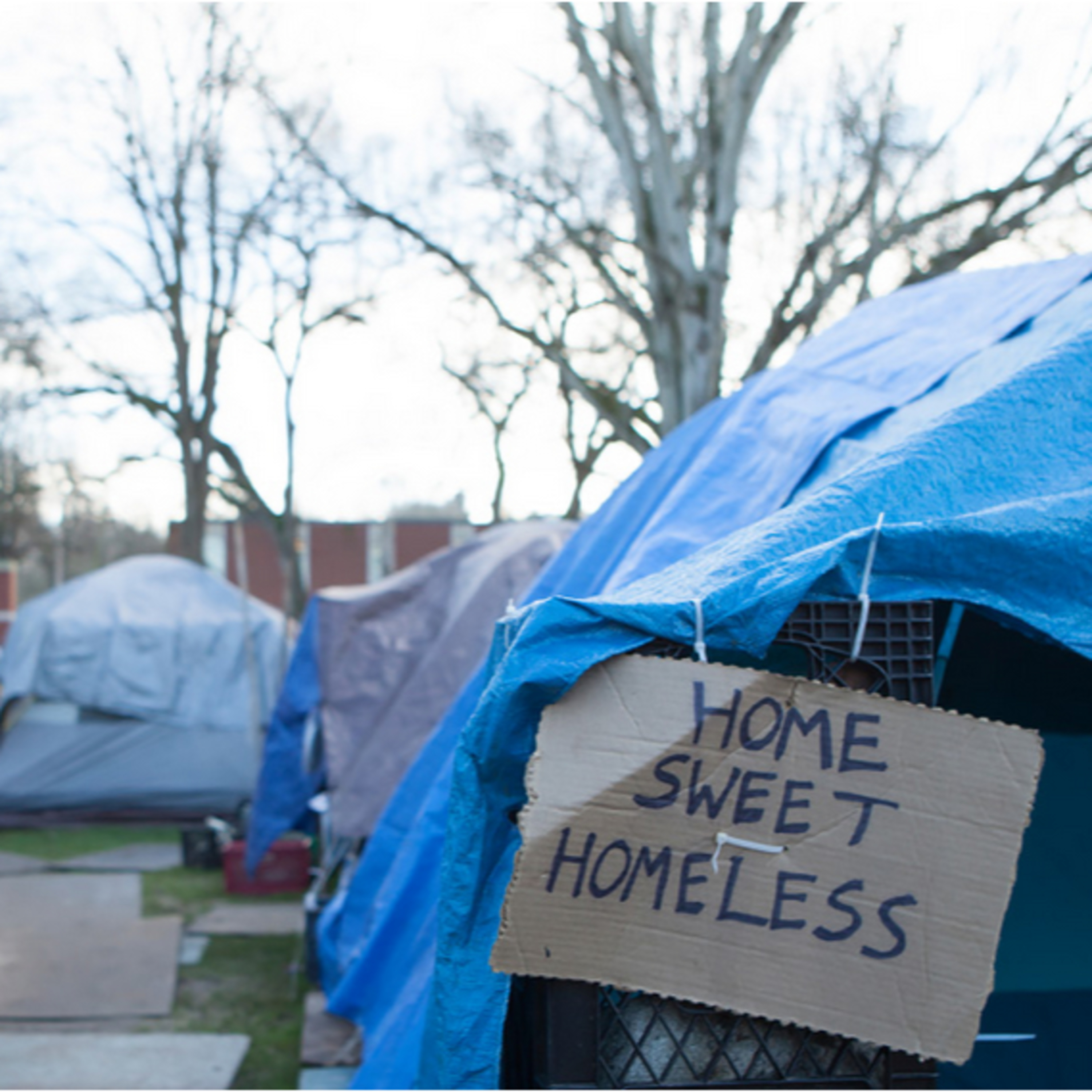 Solving Homelessness In Maine | in the clear #102 episode artwork